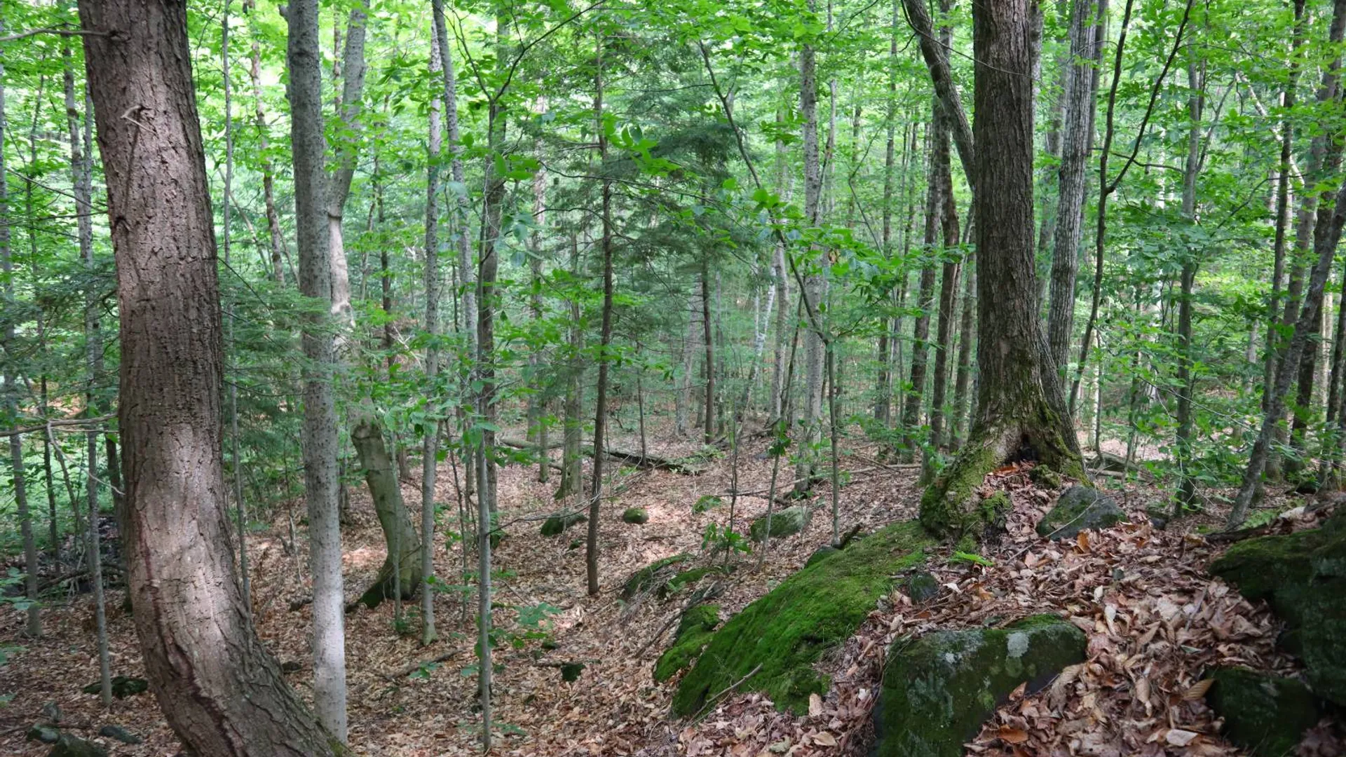 Property at 0 Valley Rd, Thurman, NY 12885 62