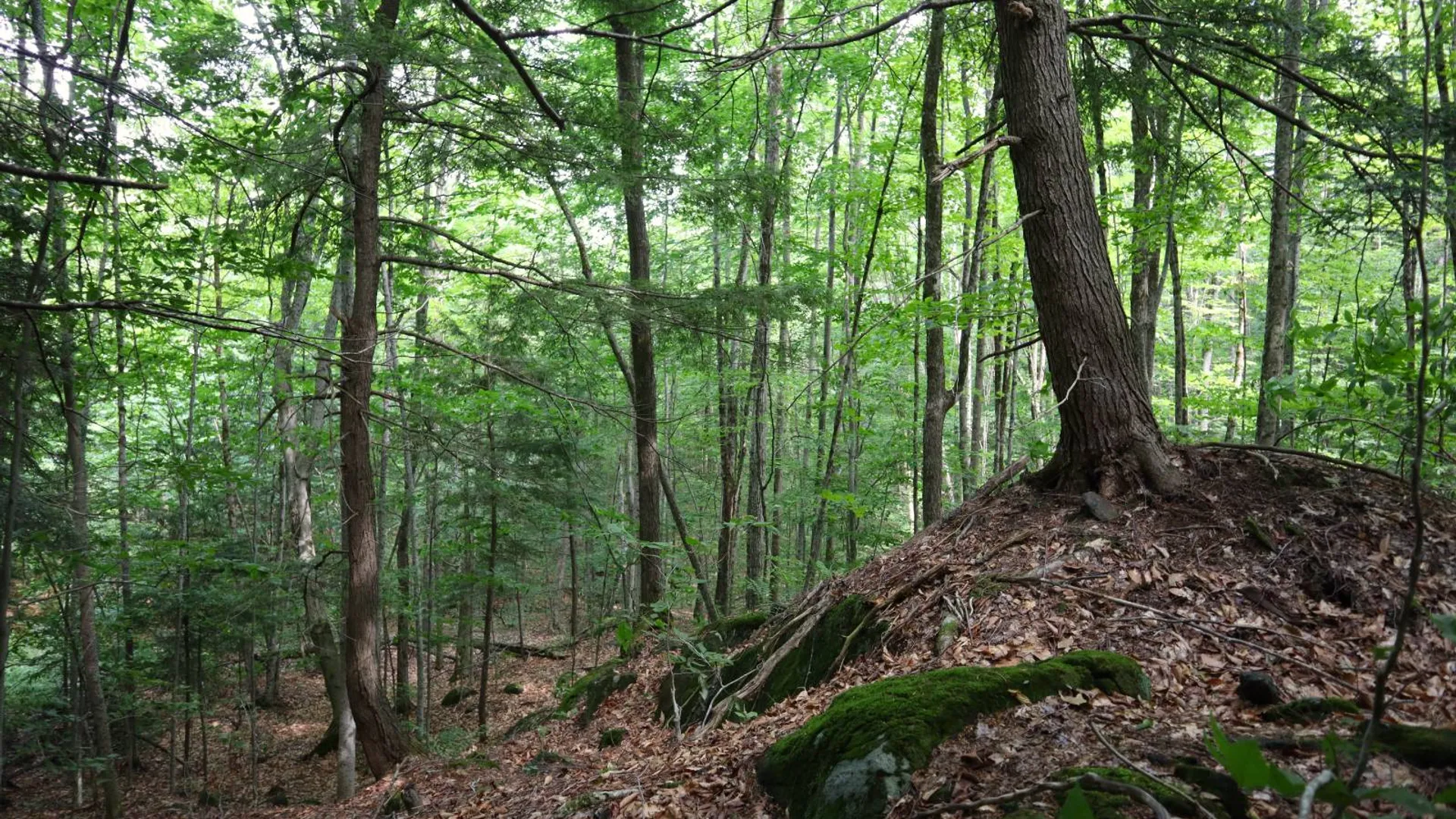 Property at 0 Valley Rd, Thurman, NY 12885 63