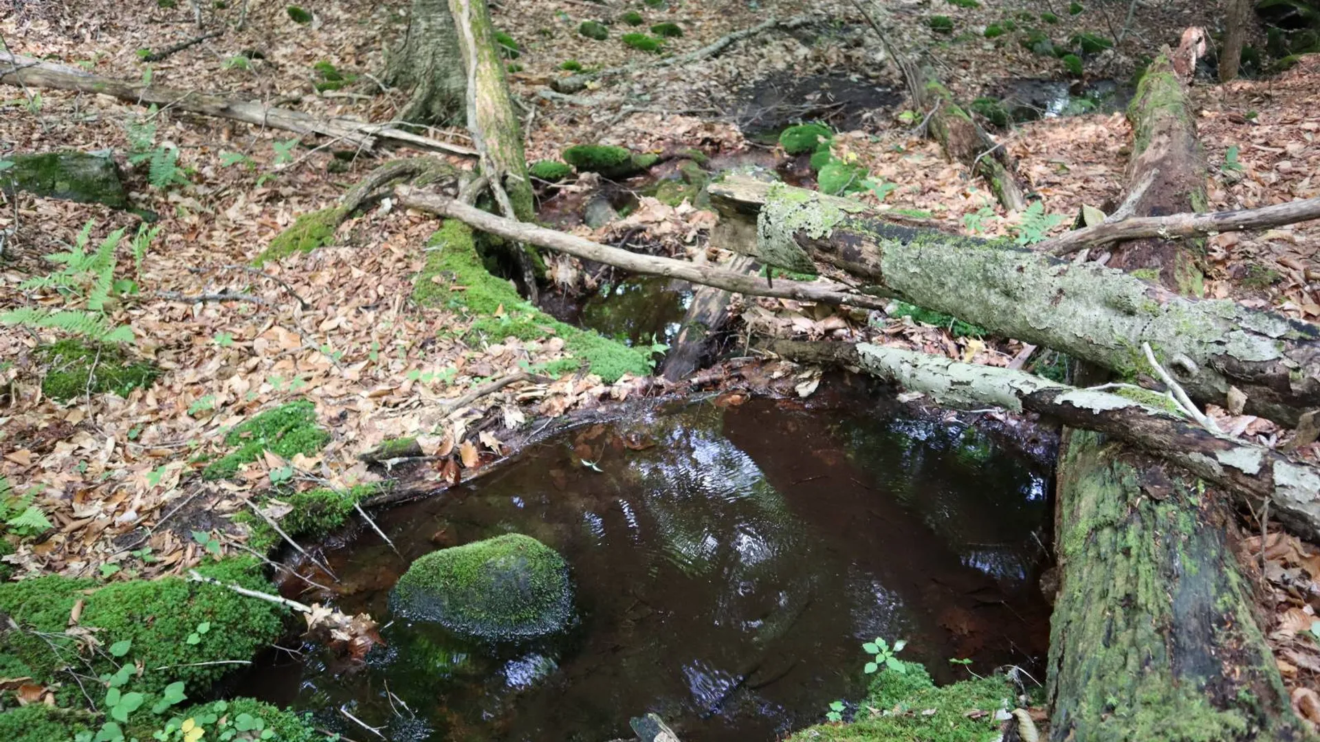 Property at 0 Valley Rd, Thurman, NY 12885 64