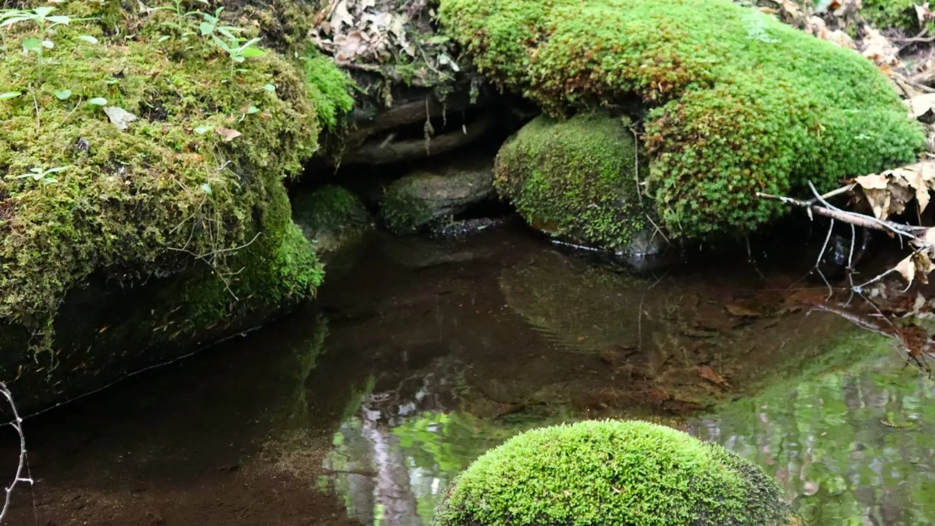 Property at 0 Valley Rd, Thurman, NY 12885 65