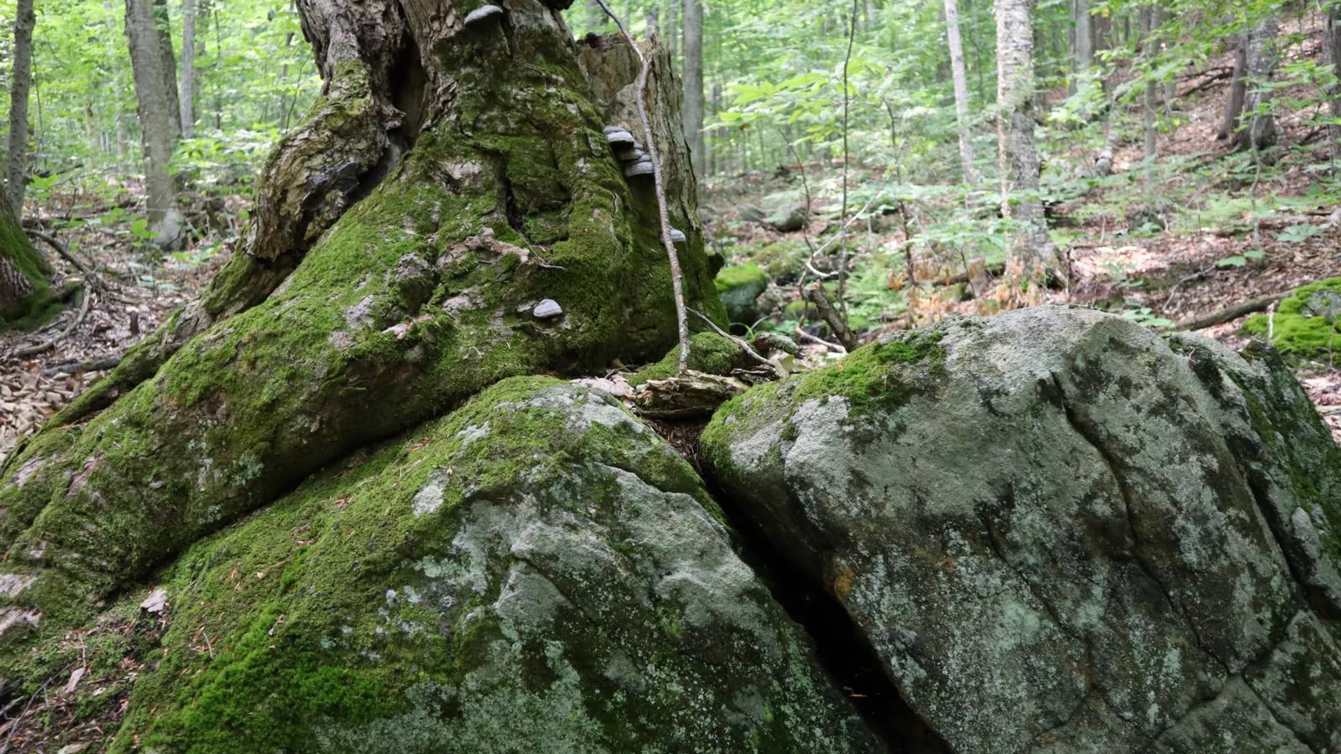 Property at 0 Valley Rd, Thurman, NY 12885 66