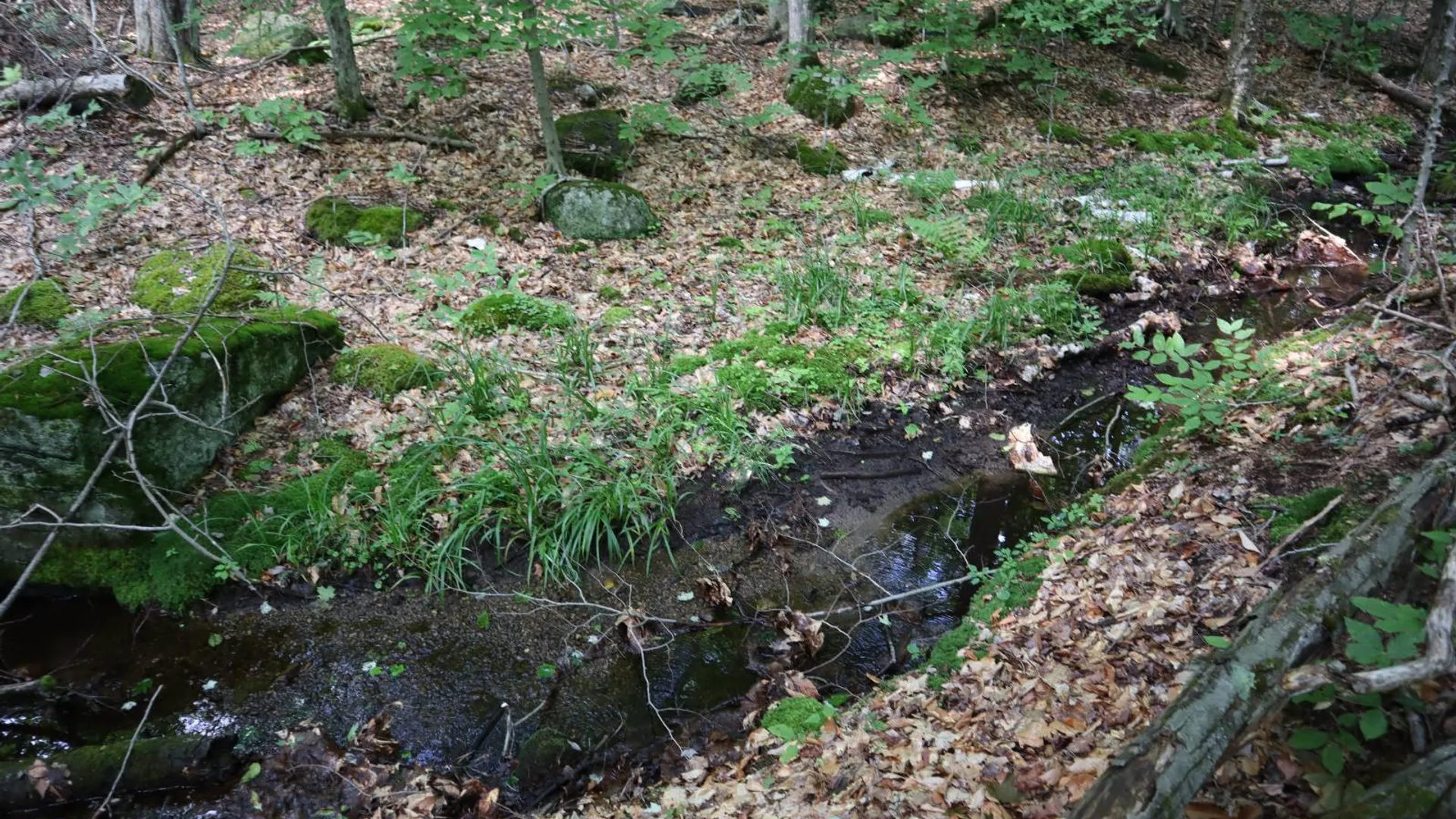 Property at 0 Valley Rd, Thurman, NY 12885 67