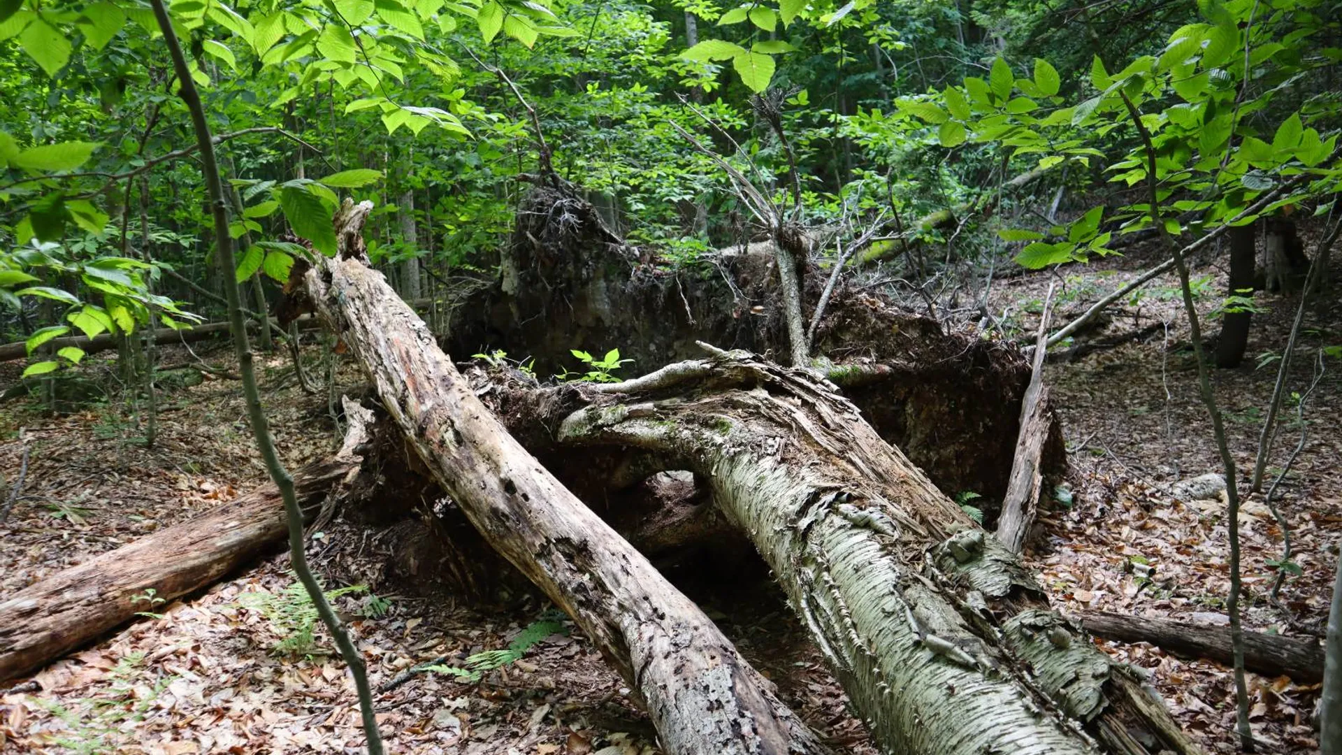 Property at 0 Valley Rd, Thurman, NY 12885 68