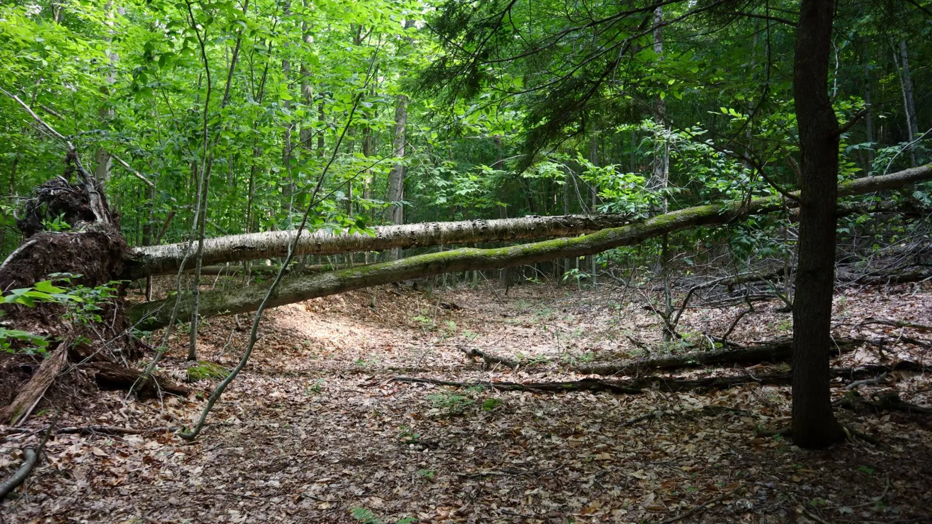 Property at 0 Valley Rd, Thurman, NY 12885 69