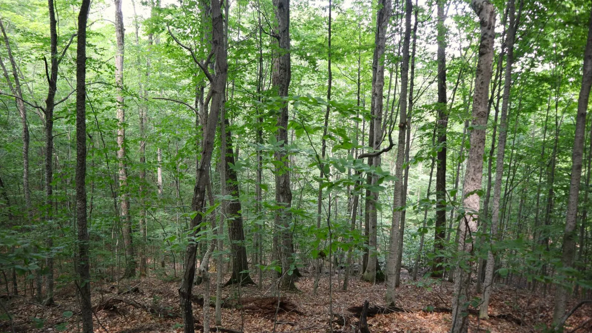 Property at 0 Valley Rd, Thurman, NY 12885 7