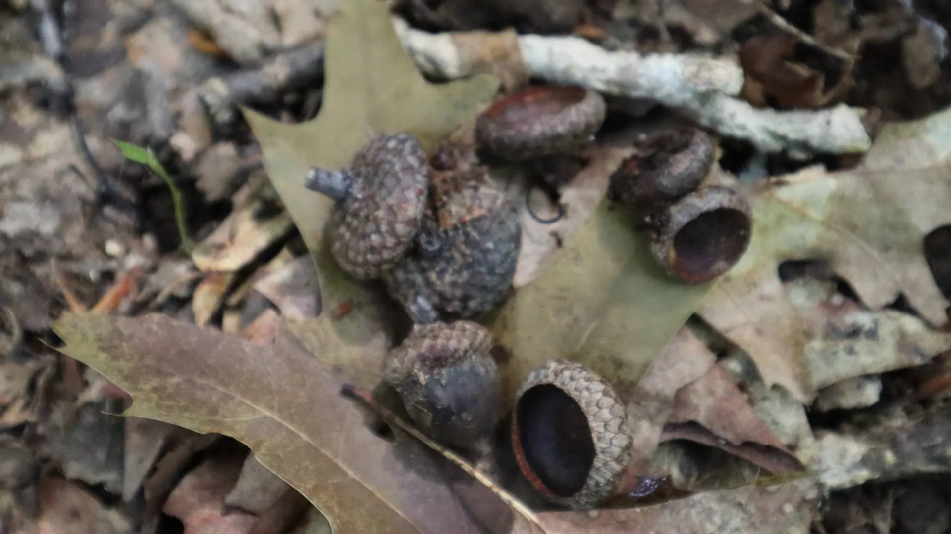 Property at 0 Valley Rd, Thurman, NY 12885 70