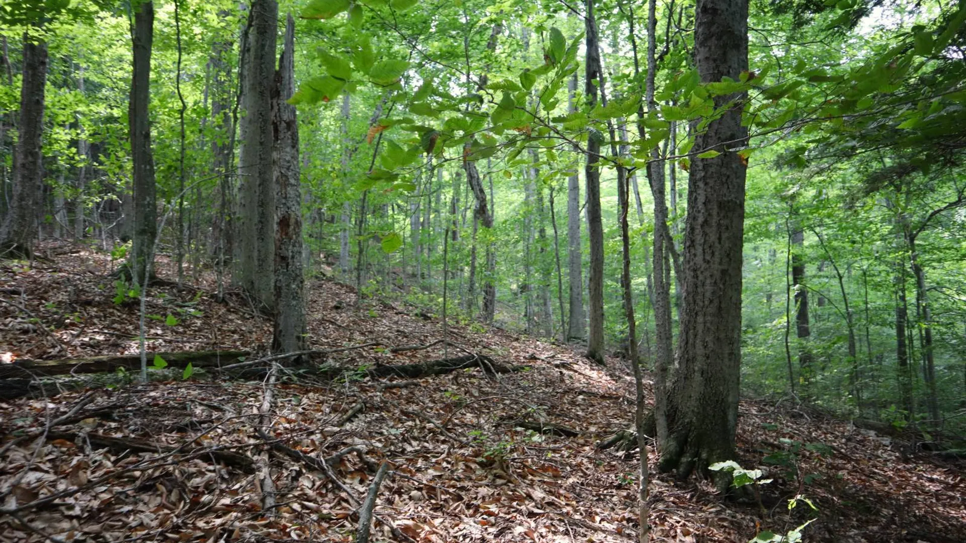 Property at 0 Valley Rd, Thurman, NY 12885 73