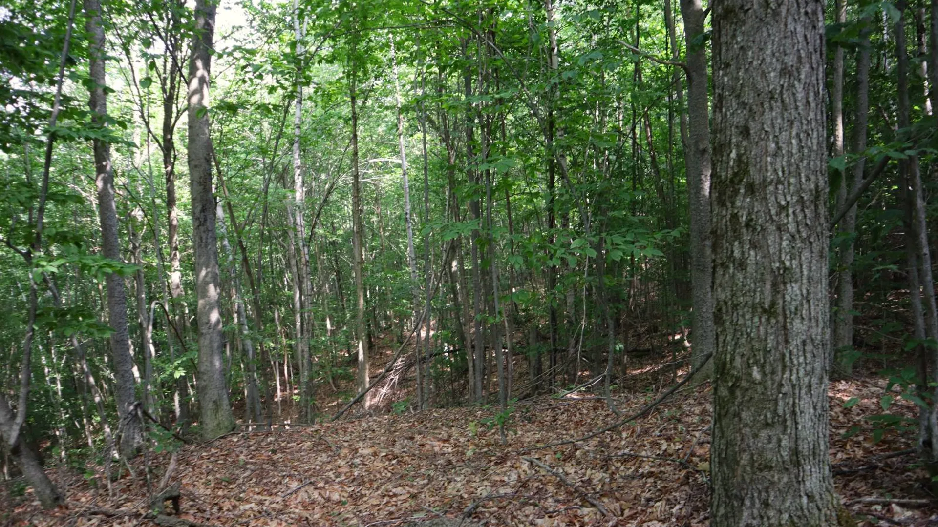 Property at 0 Valley Rd, Thurman, NY 12885 74