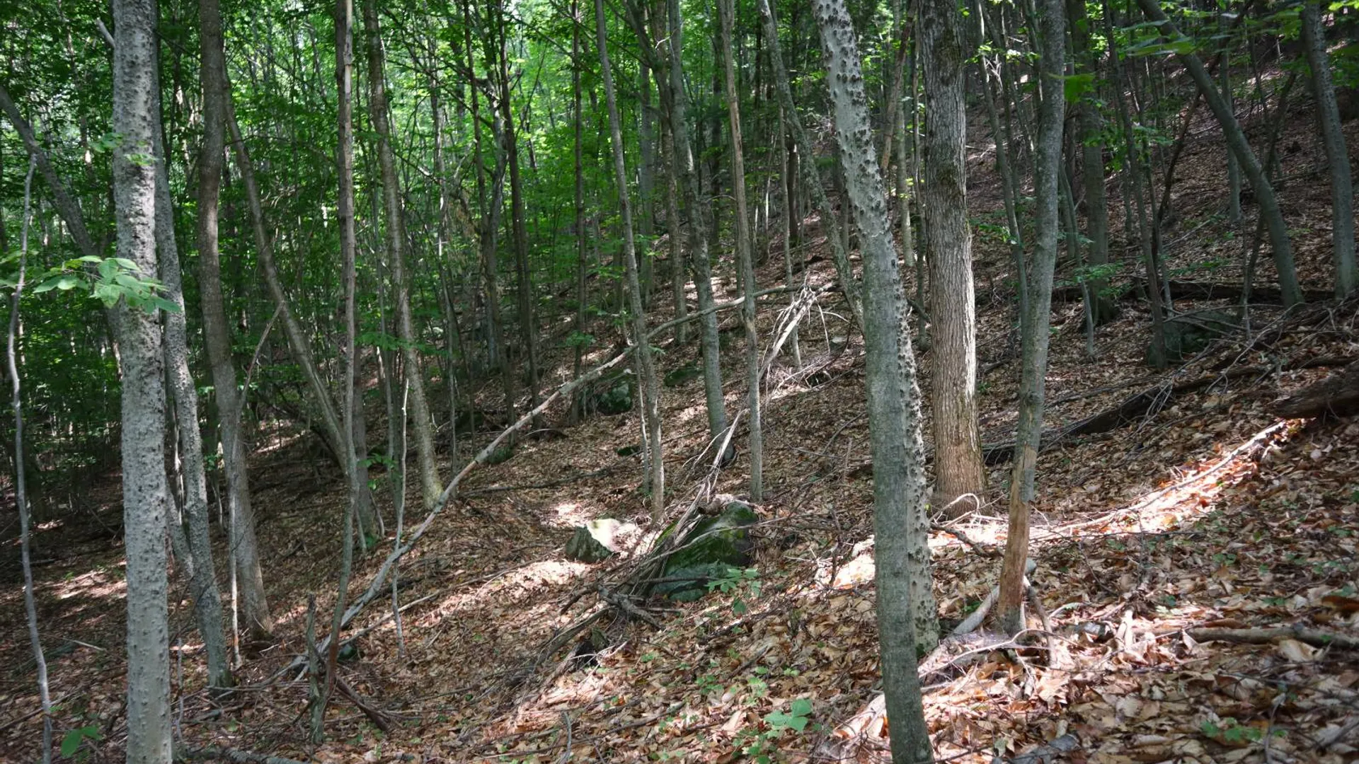 Property at 0 Valley Rd, Thurman, NY 12885 75