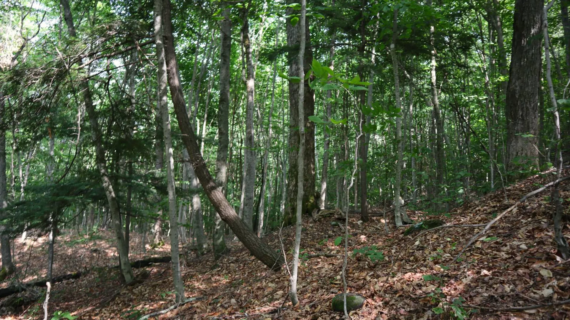 Property at 0 Valley Rd, Thurman, NY 12885 76