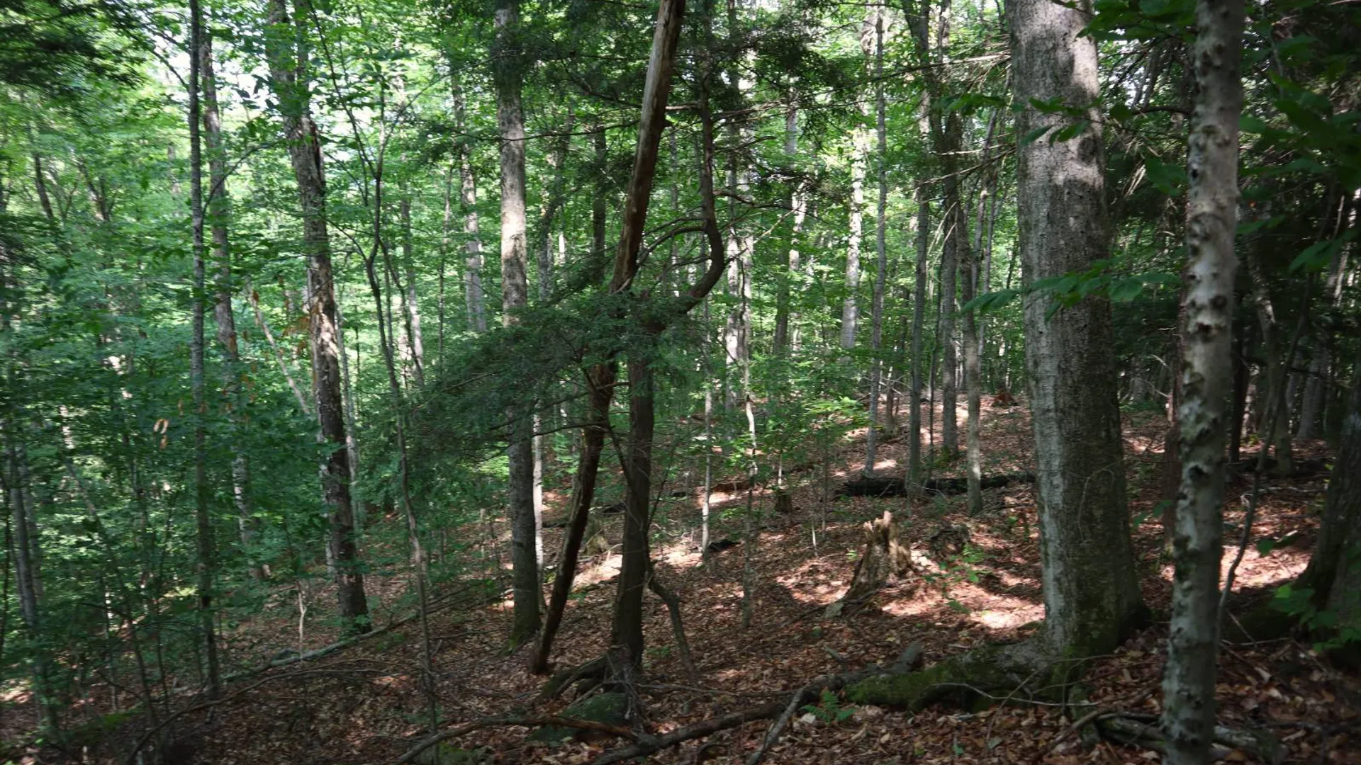 Property at 0 Valley Rd, Thurman, NY 12885 77