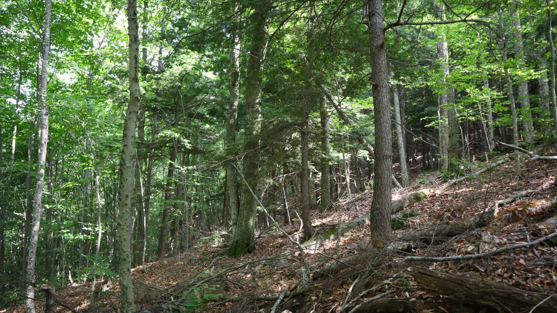 Property at 0 Valley Rd, Thurman, NY 12885 78