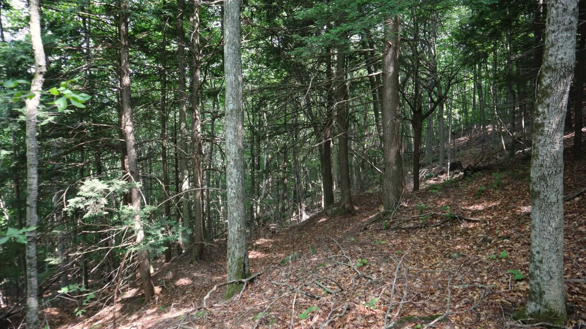 Property at 0 Valley Rd, Thurman, NY 12885 79