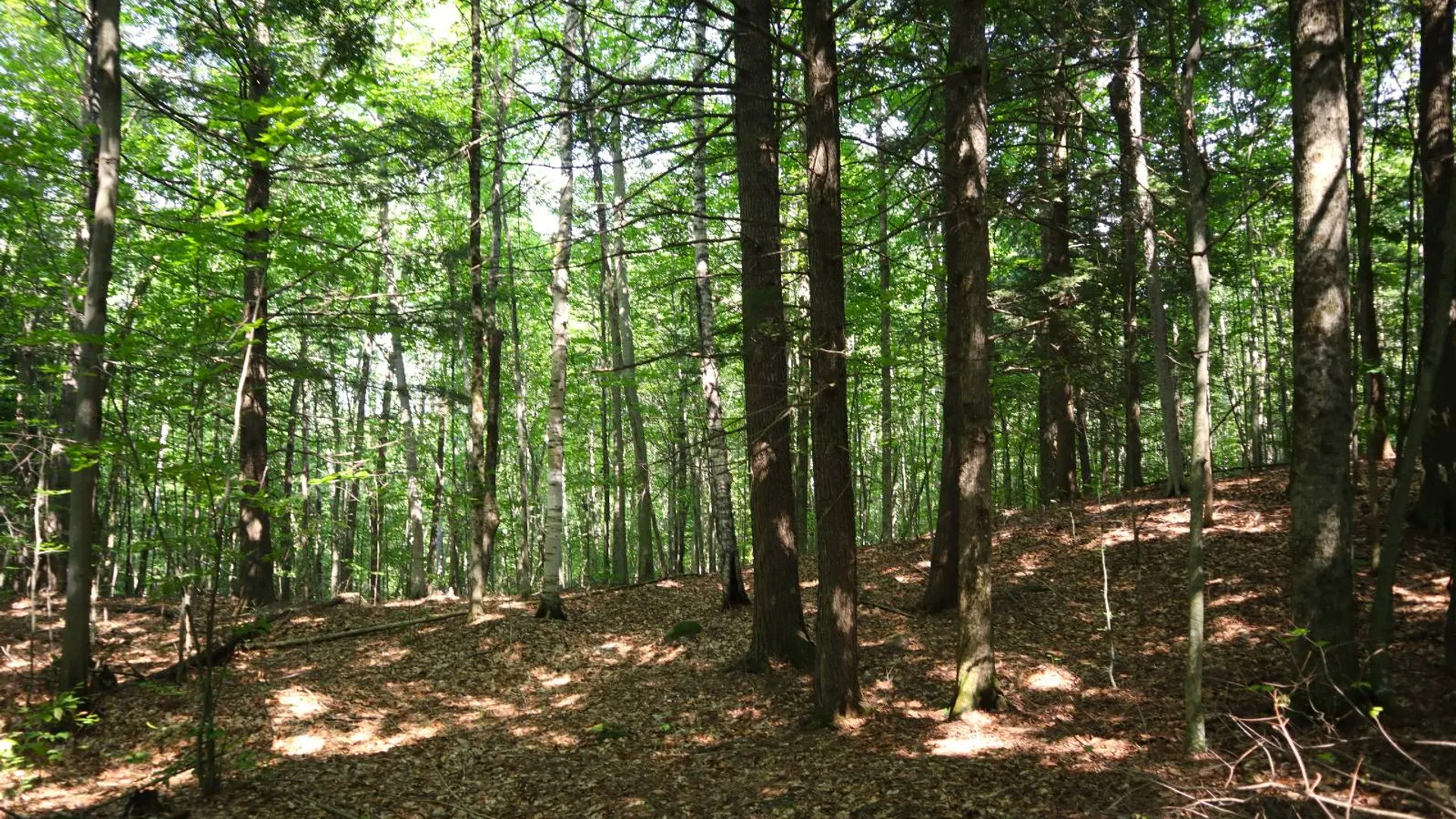 Property at 0 Valley Rd, Thurman, NY 12885 8