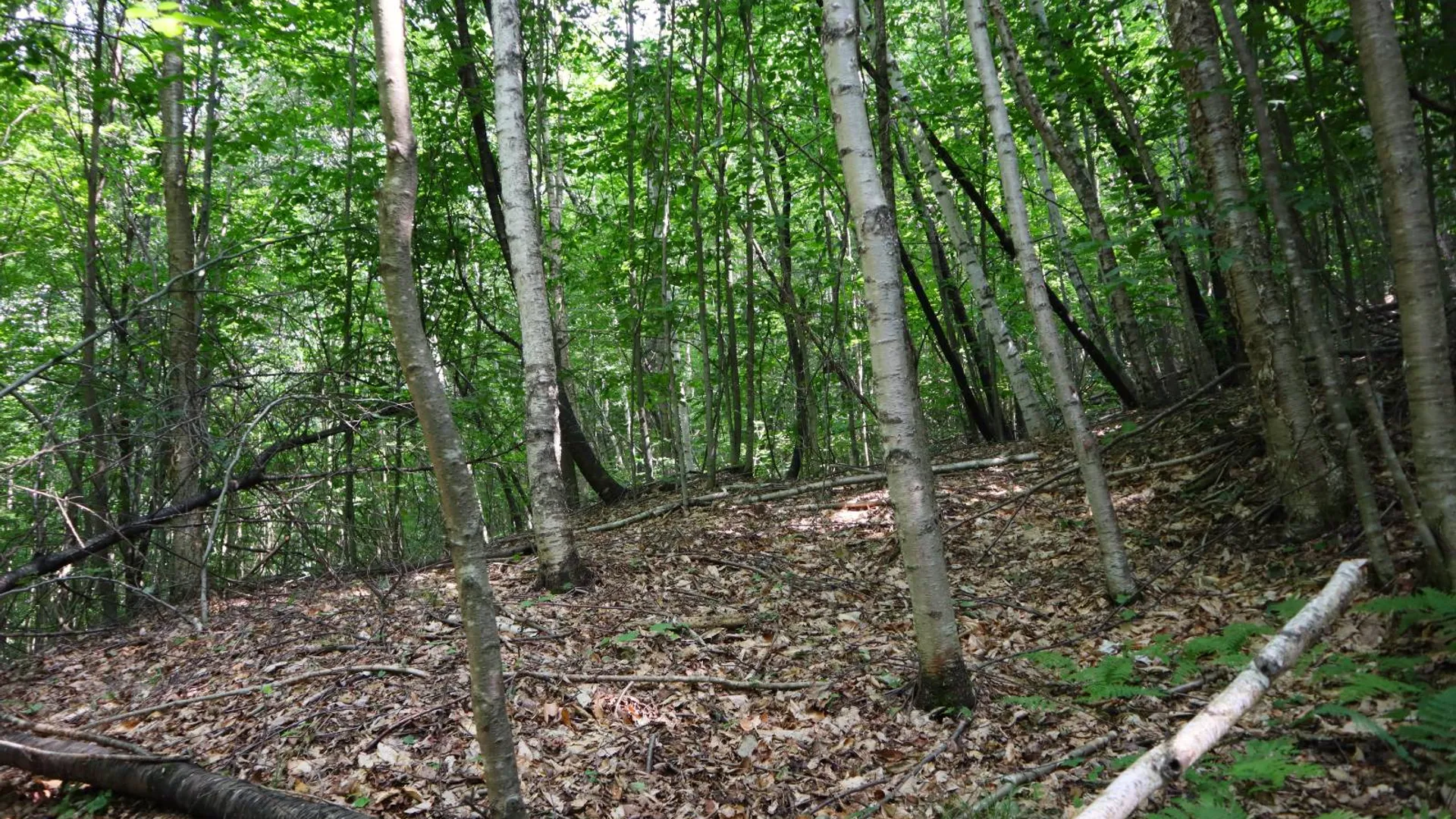 Property at 0 Valley Rd, Thurman, NY 12885 80