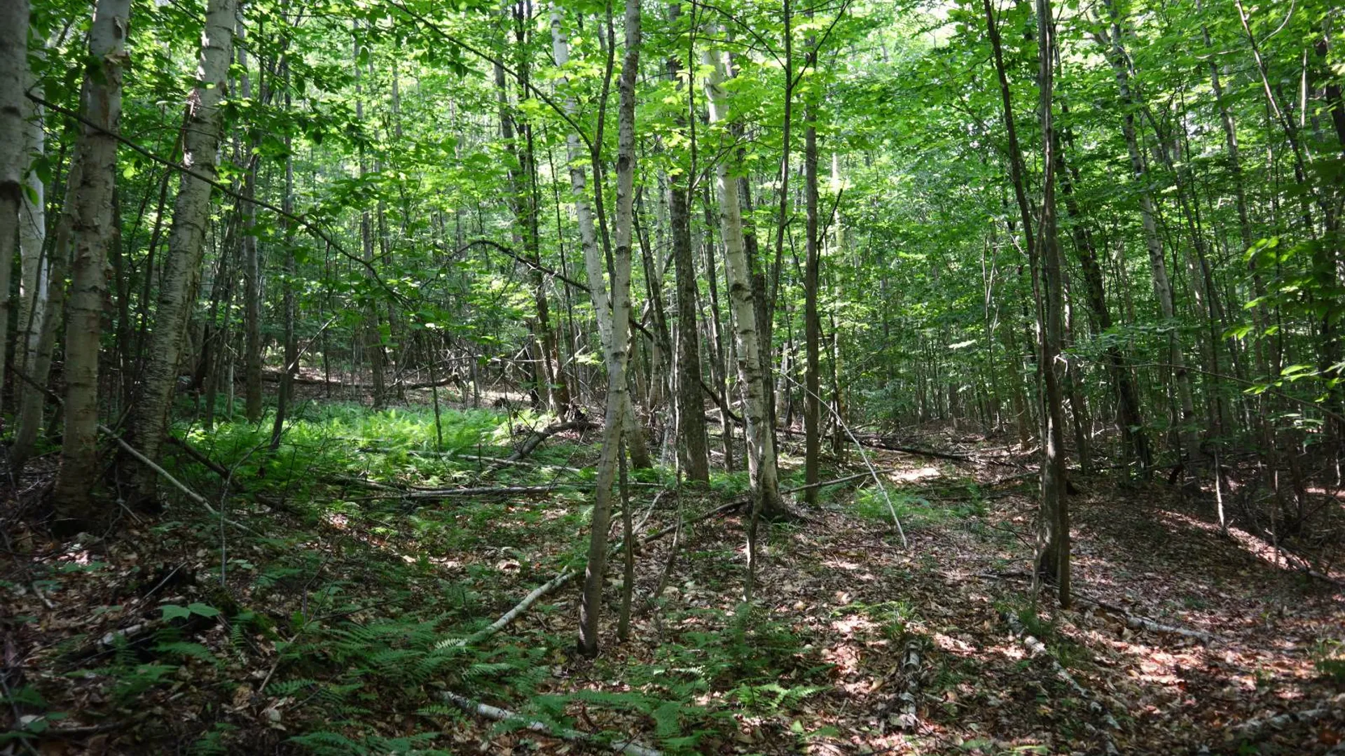 Property at 0 Valley Rd, Thurman, NY 12885 82