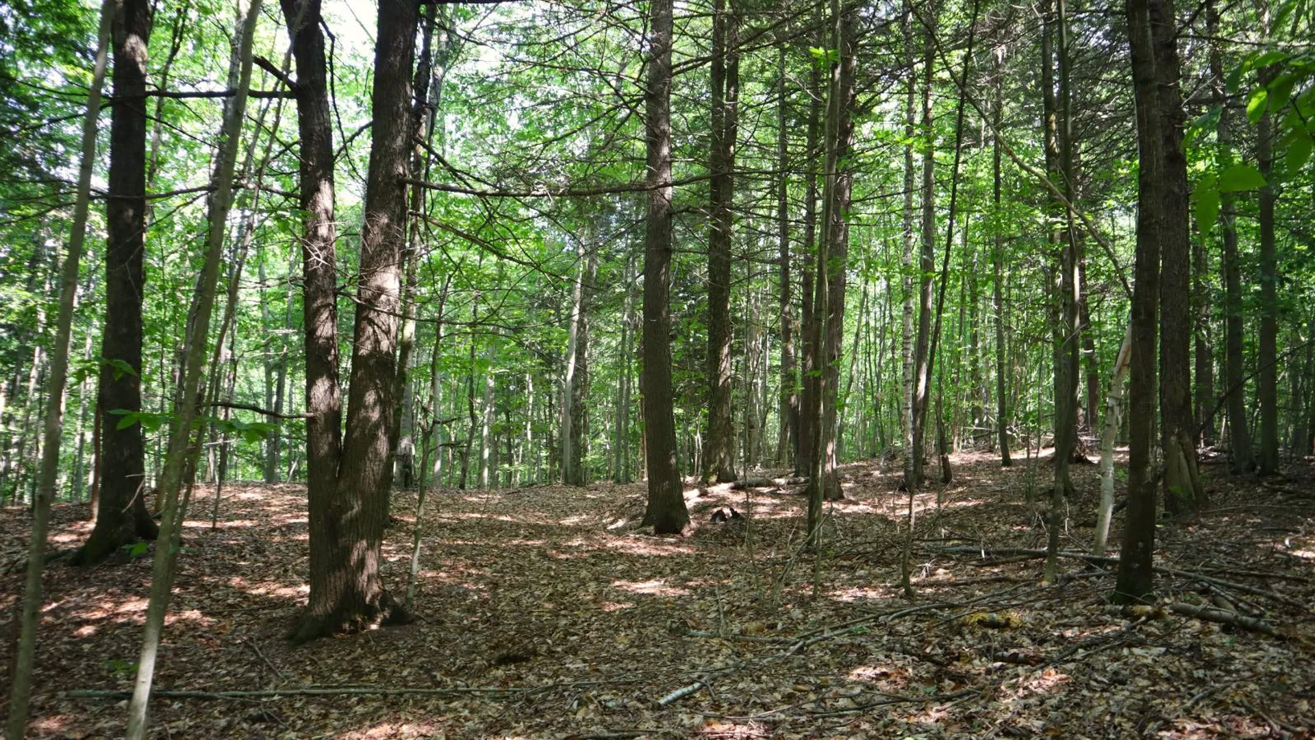 Property at 0 Valley Rd, Thurman, NY 12885 84