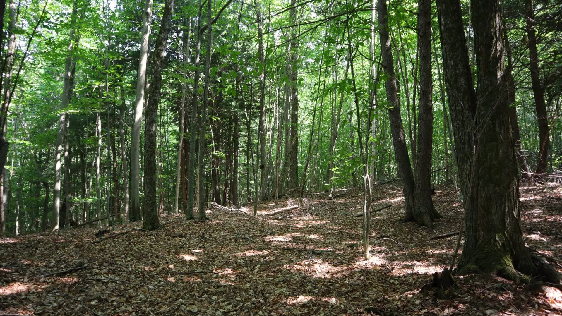 Property at 0 Valley Rd, Thurman, NY 12885 85