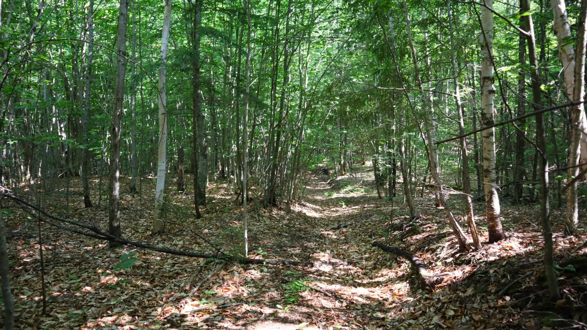 Property at 0 Valley Rd, Thurman, NY 12885 86