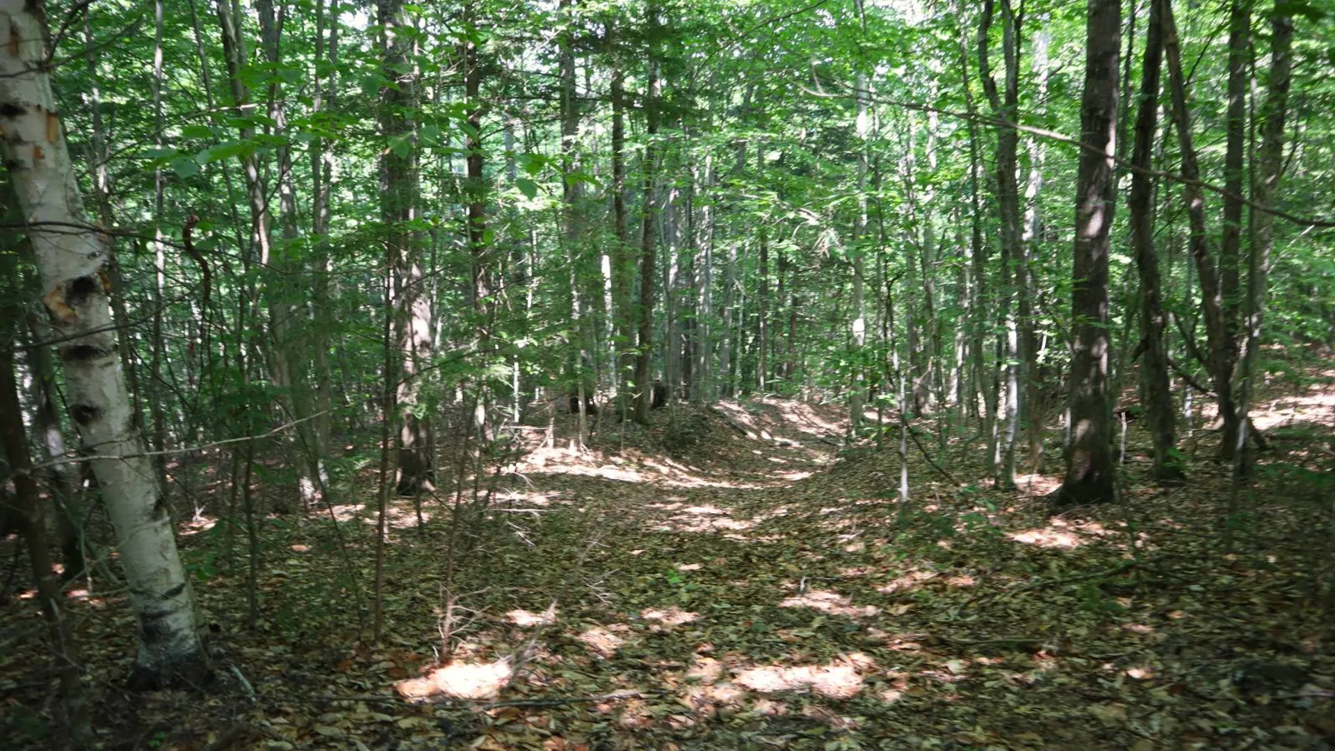 Property at 0 Valley Rd, Thurman, NY 12885 87