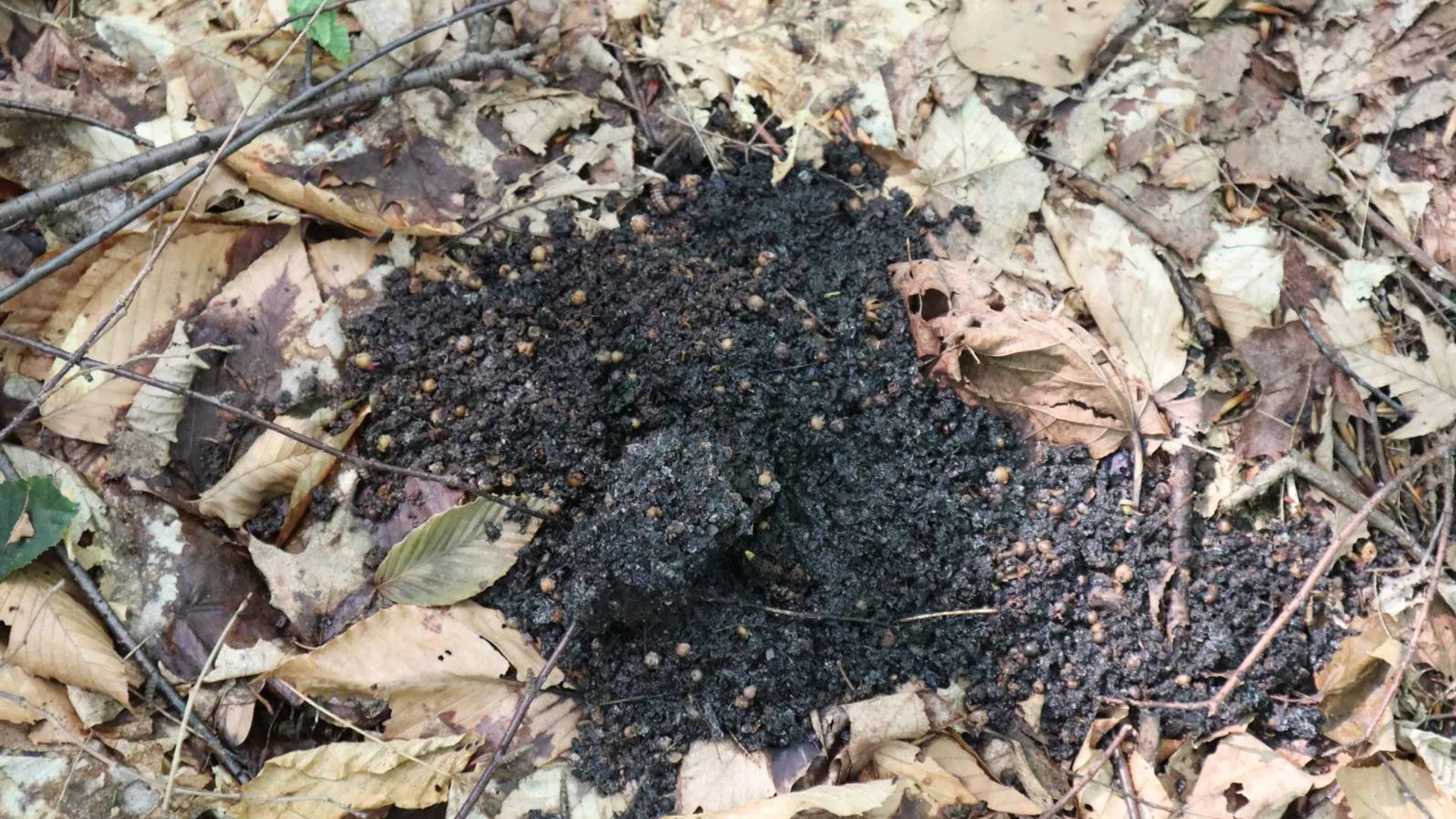 Property at 0 Valley Rd, Thurman, NY 12885 89