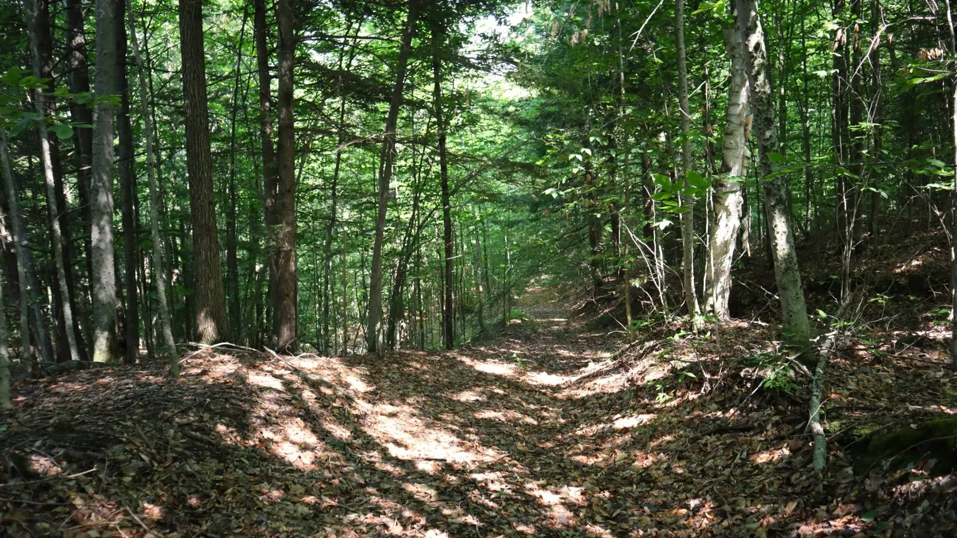 Property at 0 Valley Rd, Thurman, NY 12885 9