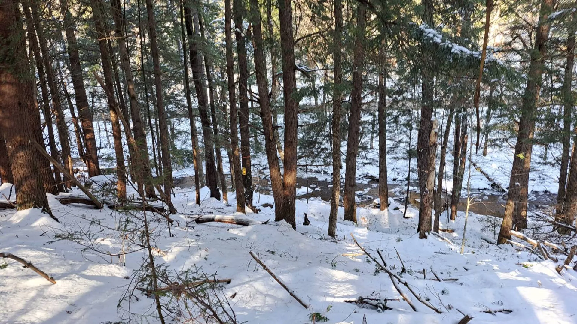 Property at L 17 Rice Road, Hope, NY 12134 10