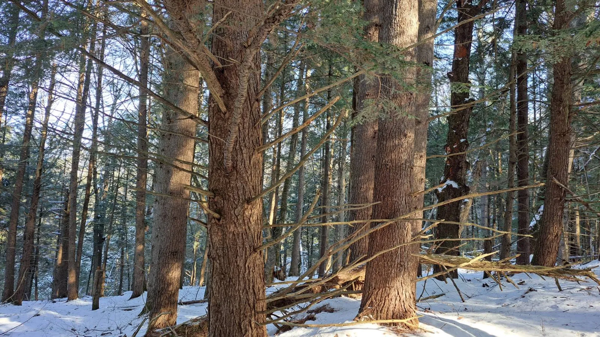 Property at L 17 Rice Road, Hope, NY 12134 11