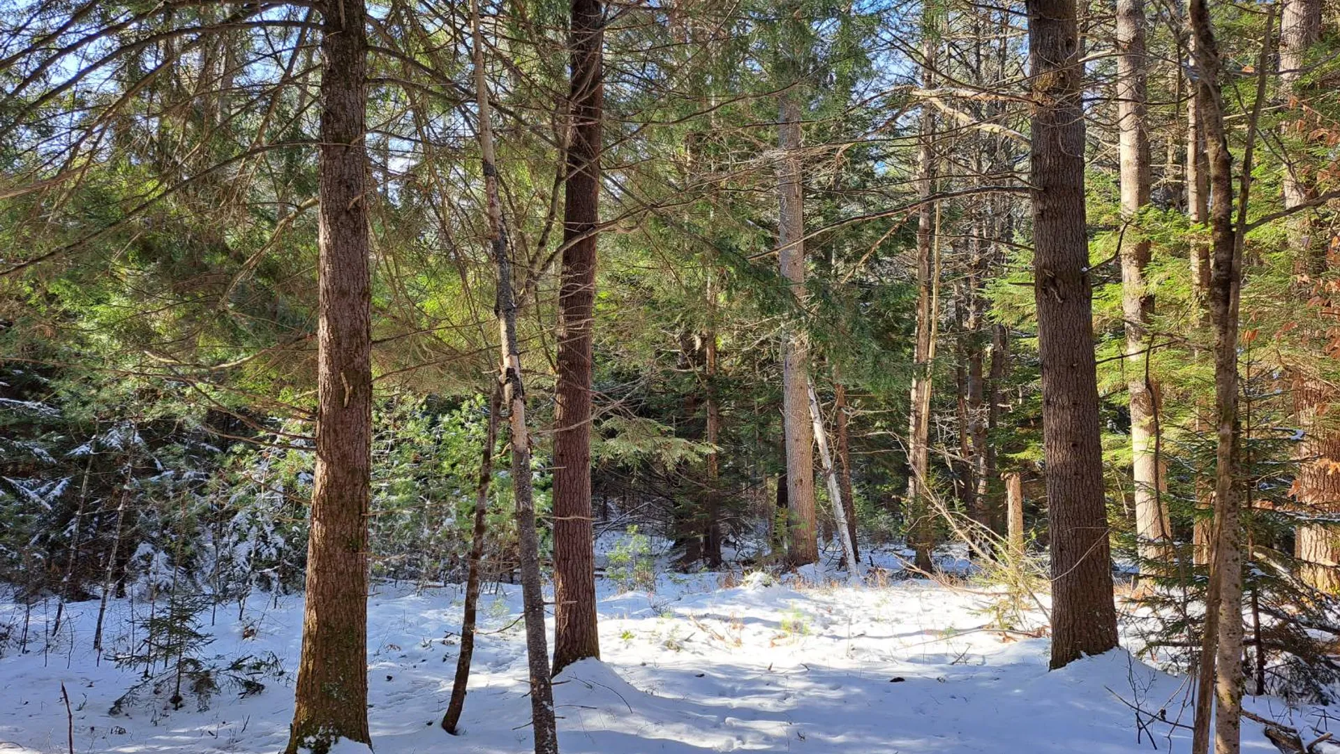 Property at L 17 Rice Road, Hope, NY 12134 12