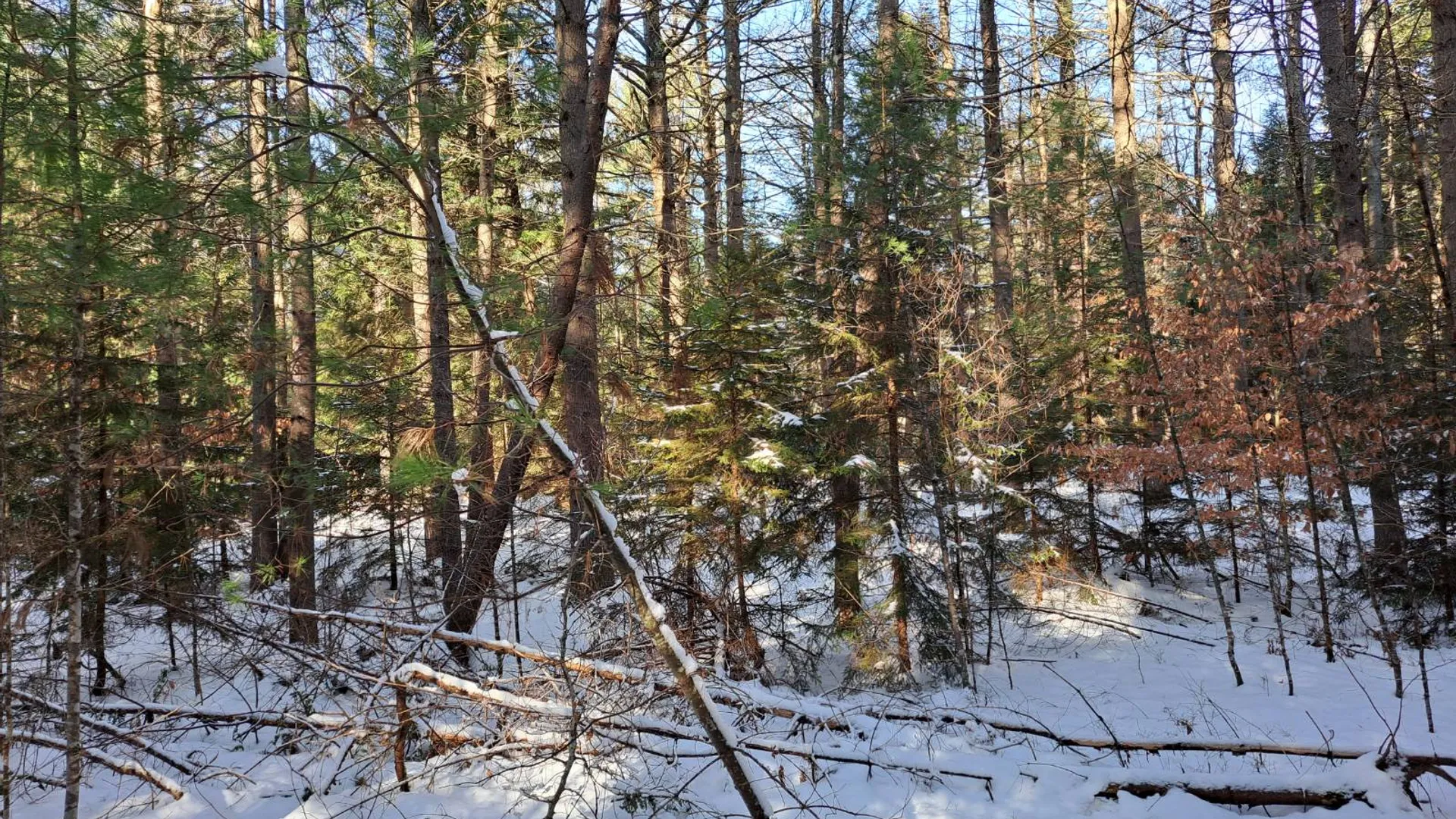 Property at L 17 Rice Road, Hope, NY 12134 13