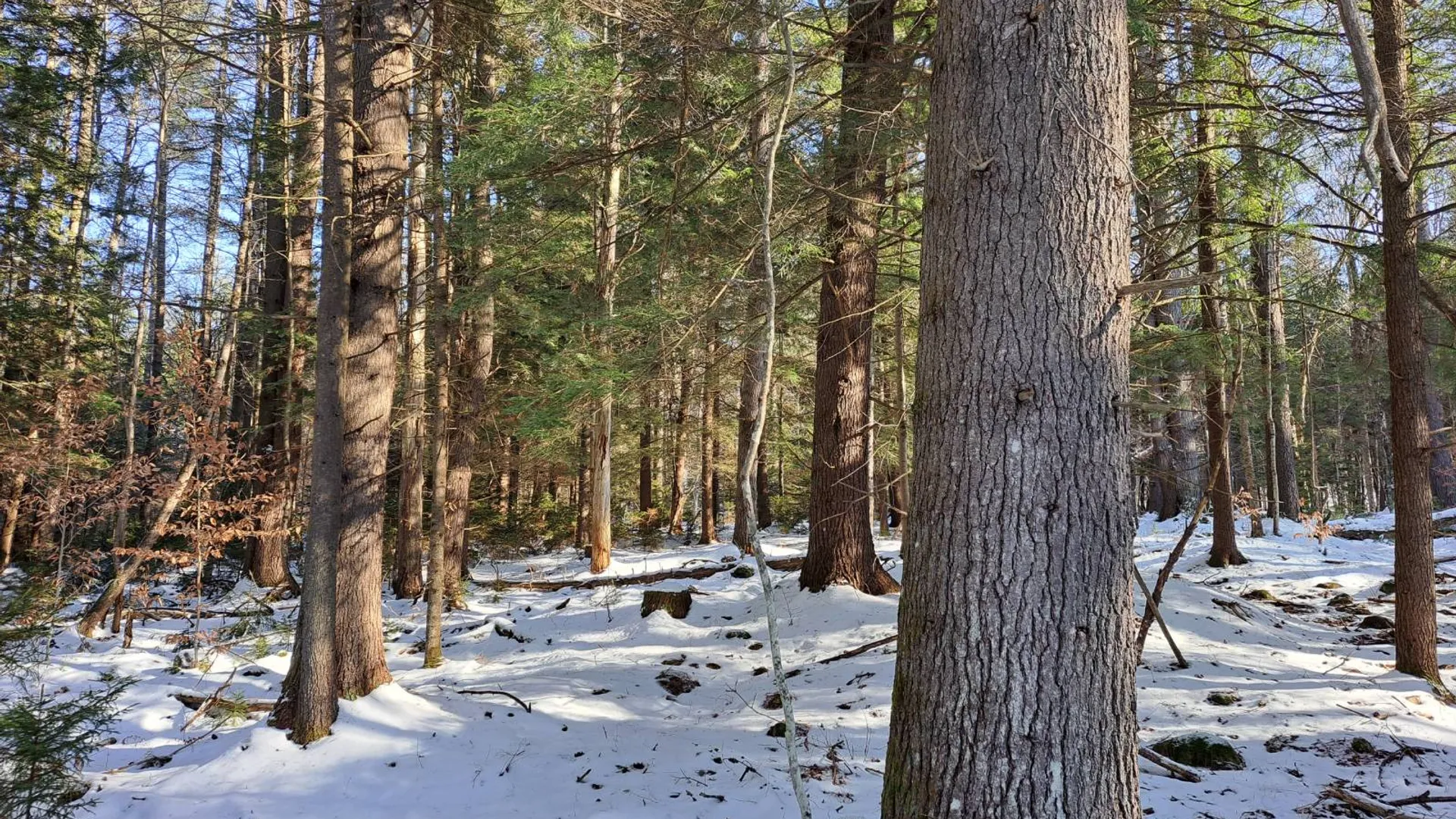 Property at L 17 Rice Road, Hope, NY 12134 14