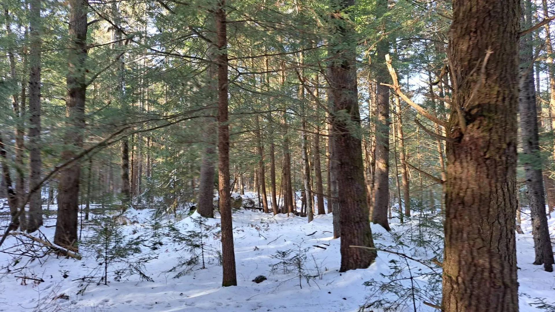 Property at L 17 Rice Road, Hope, NY 12134 15