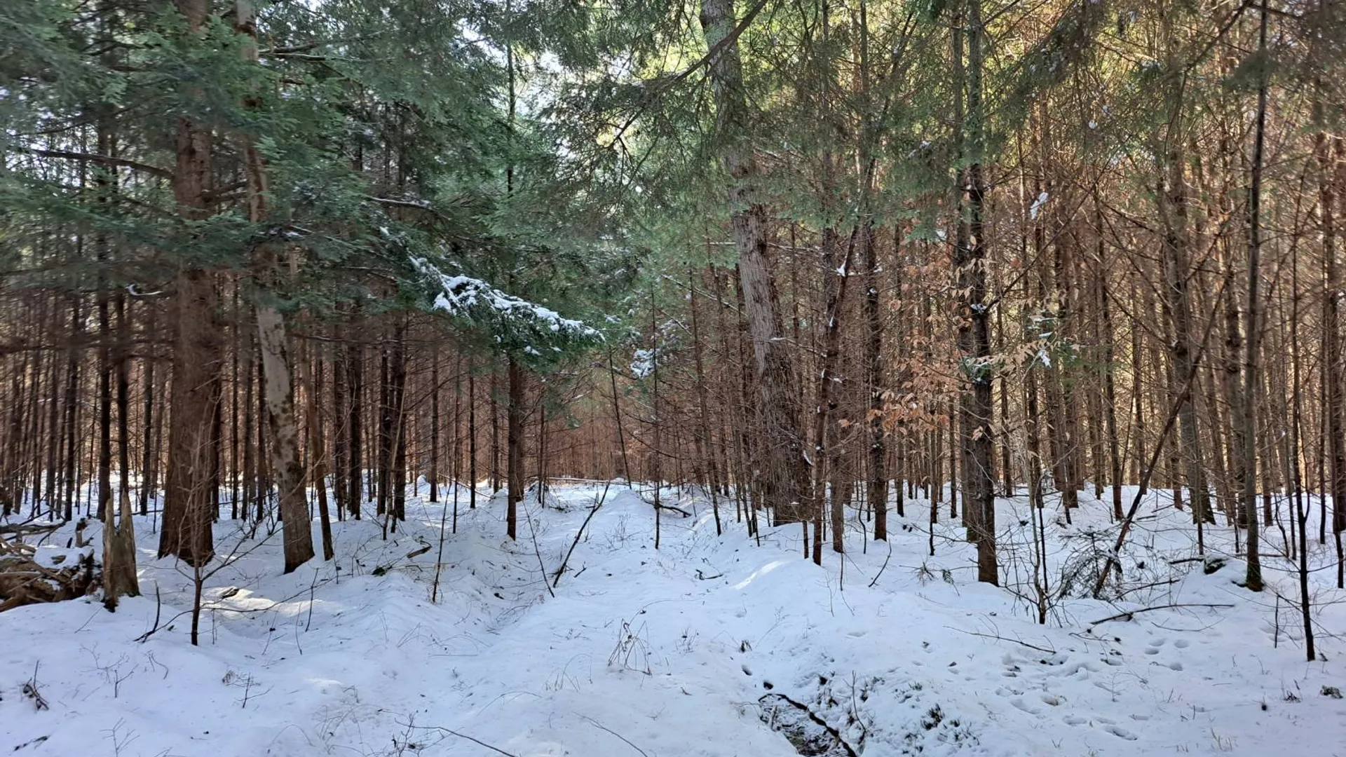 Property at L 17 Rice Road, Hope, NY 12134 16