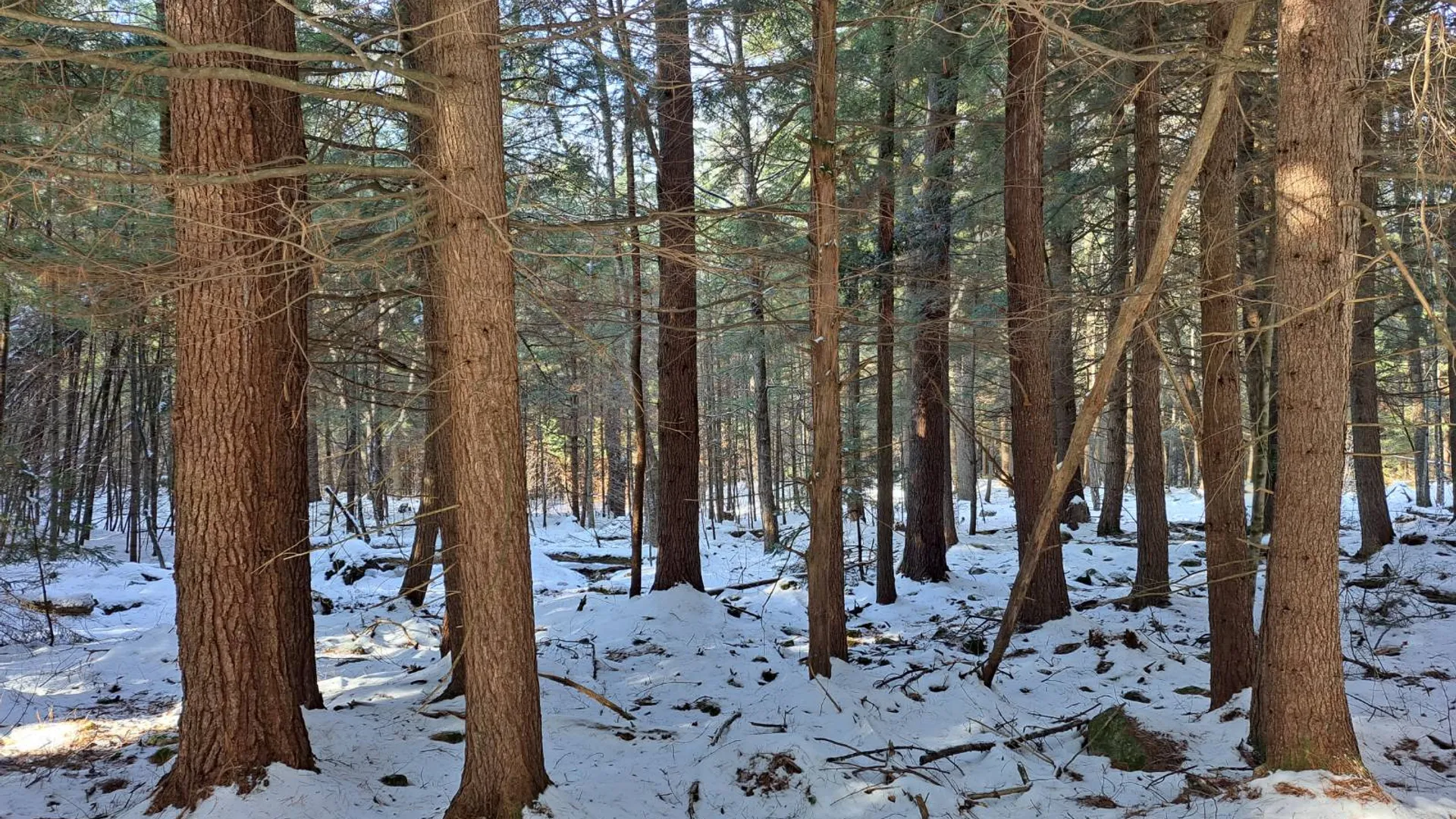 Property at L 17 Rice Road, Hope, NY 12134 17