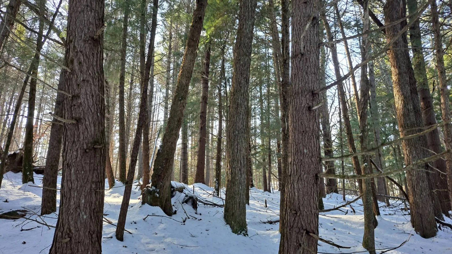 Property at L 17 Rice Road, Hope, NY 12134 18