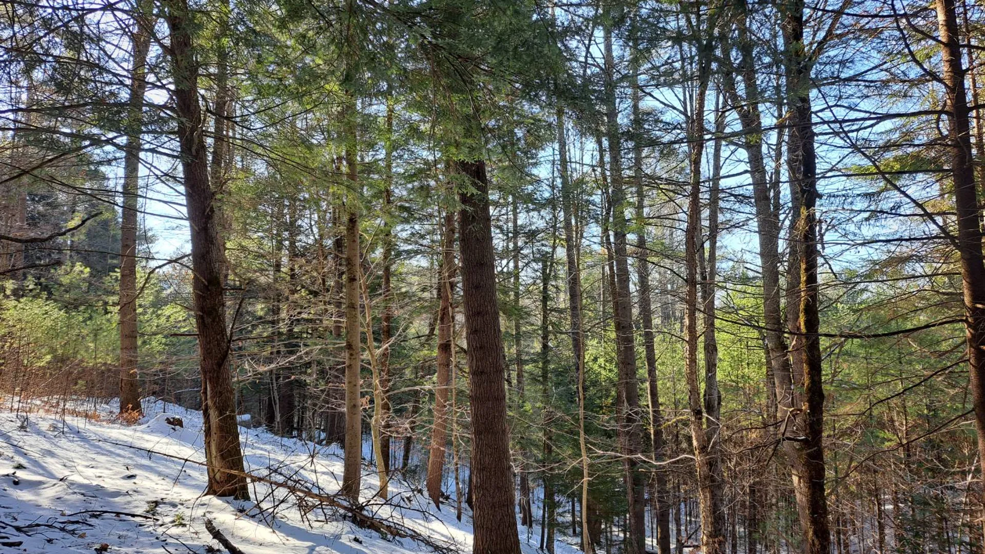 Property at L 17 Rice Road, Hope, NY 12134 19