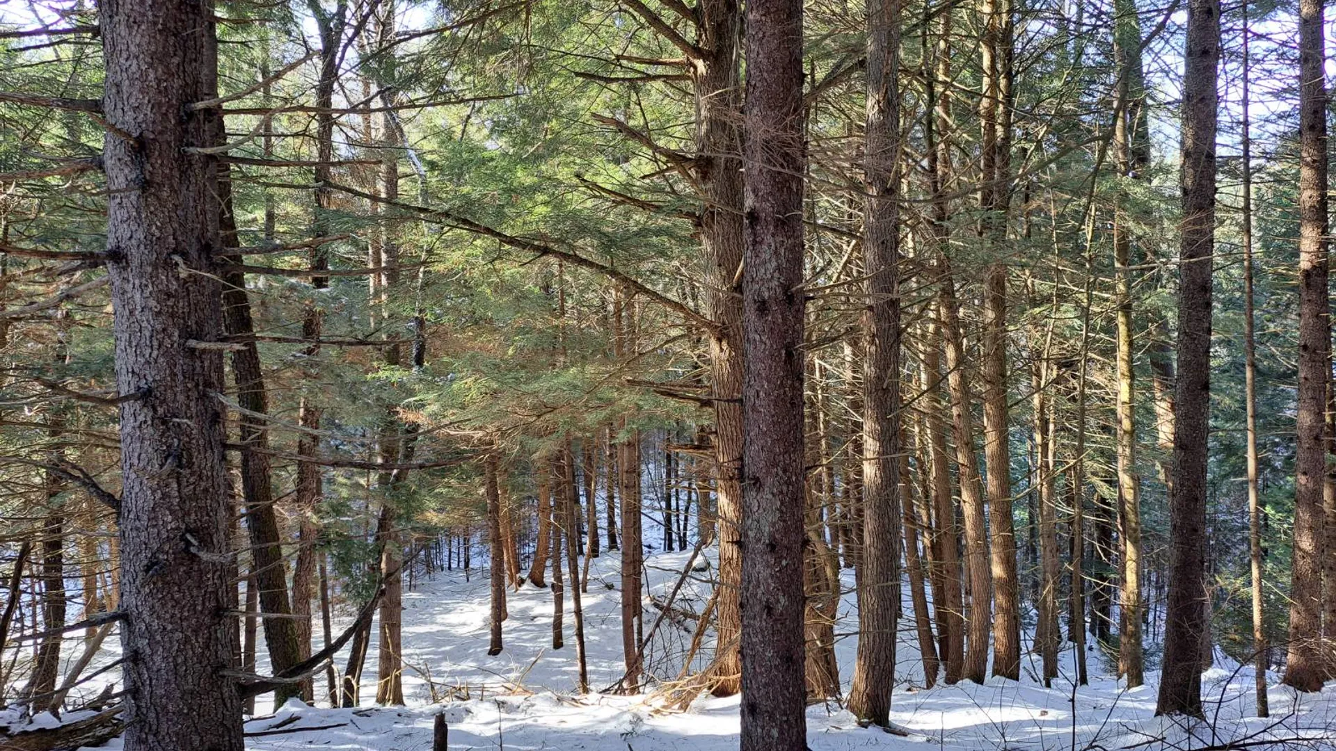 Property at L 17 Rice Road, Hope, NY 12134 2