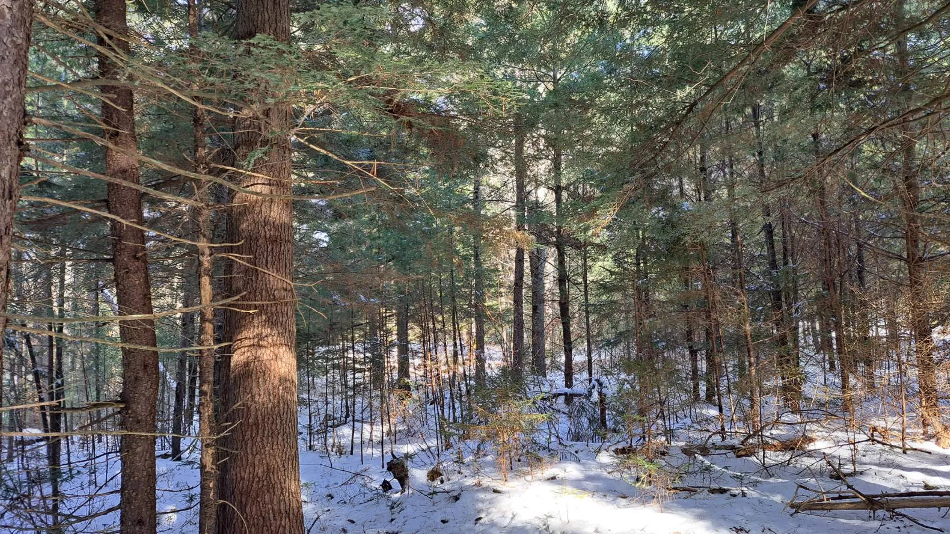 Property at L 17 Rice Road, Hope, NY 12134 20