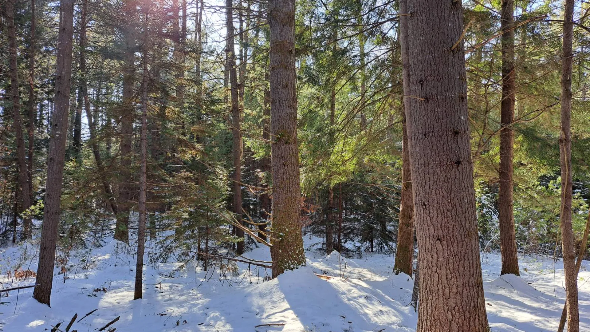 Property at L 17 Rice Road, Hope, NY 12134 21