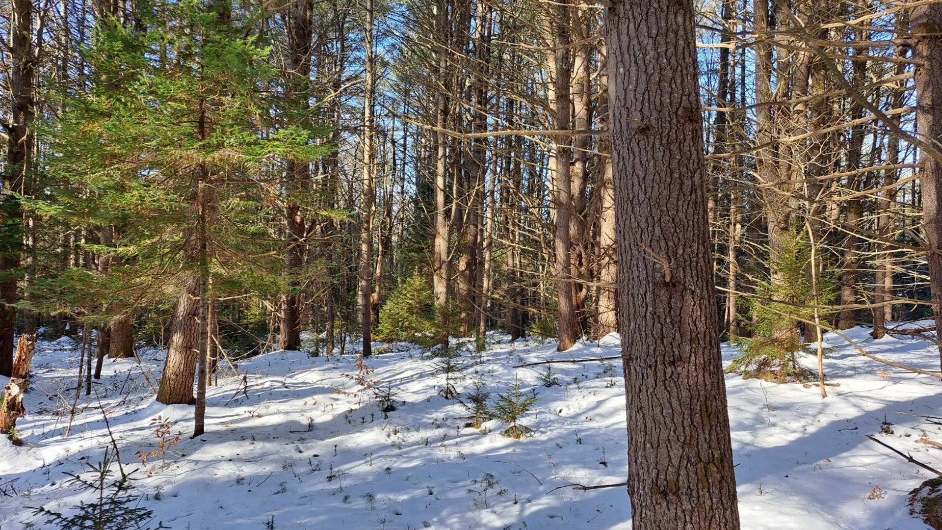 Property at L 17 Rice Road, Hope, NY 12134 22