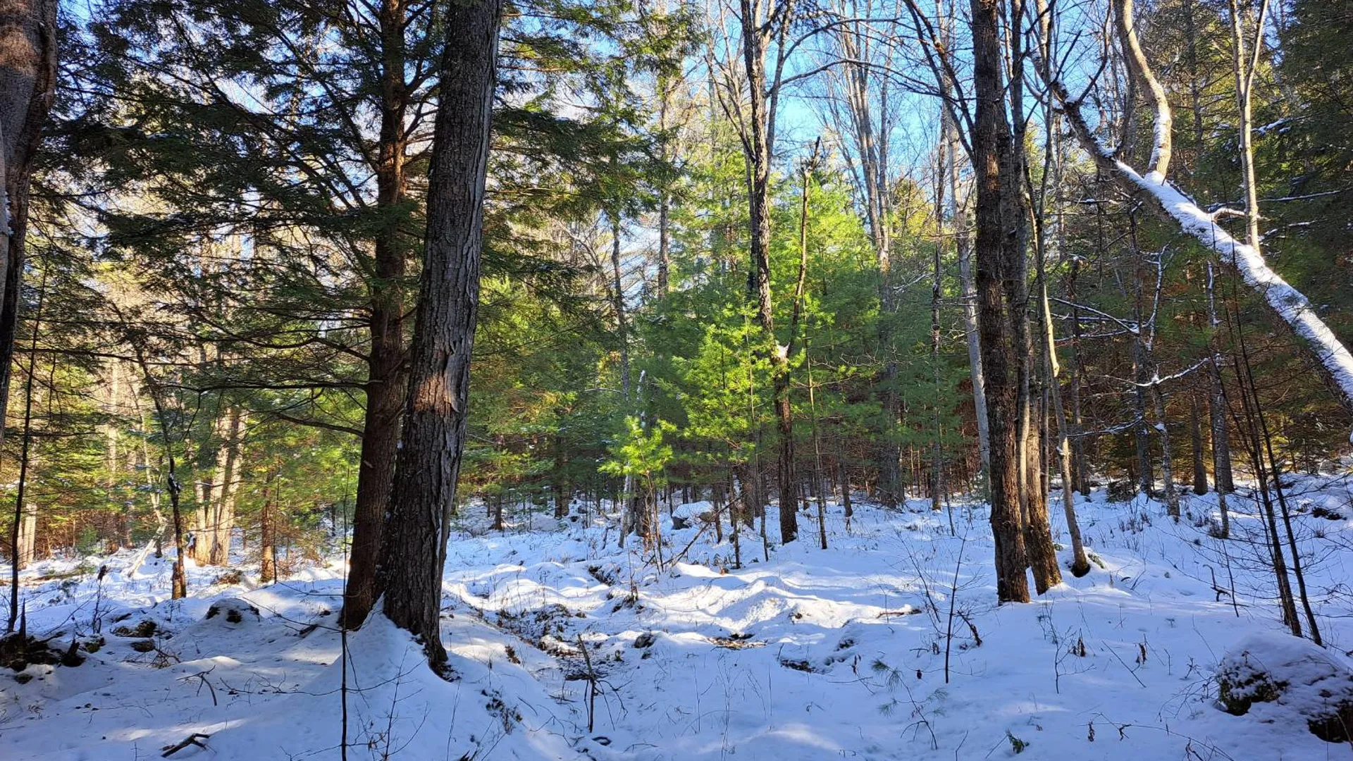 Property at L 17 Rice Road, Hope, NY 12134 23