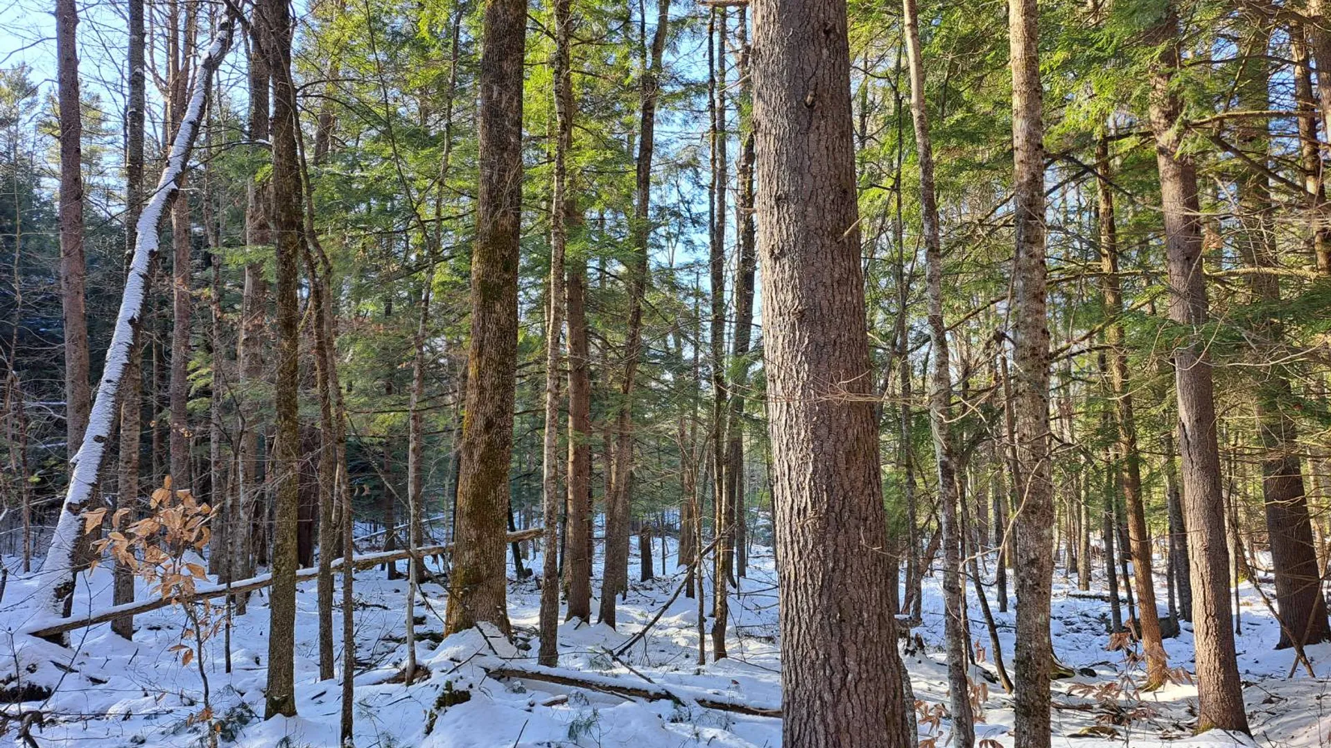 Property at L 17 Rice Road, Hope, NY 12134 24