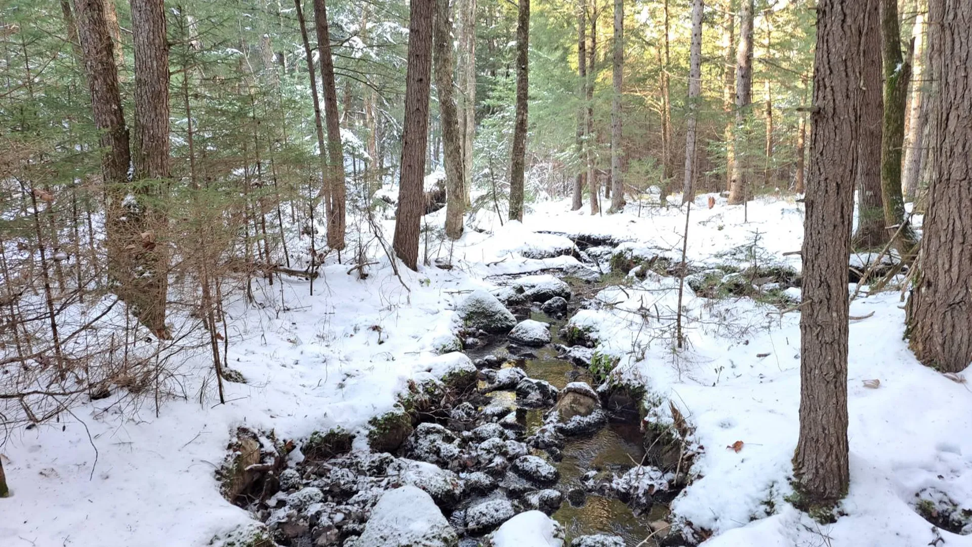 Property at L 17 Rice Road, Hope, NY 12134 25