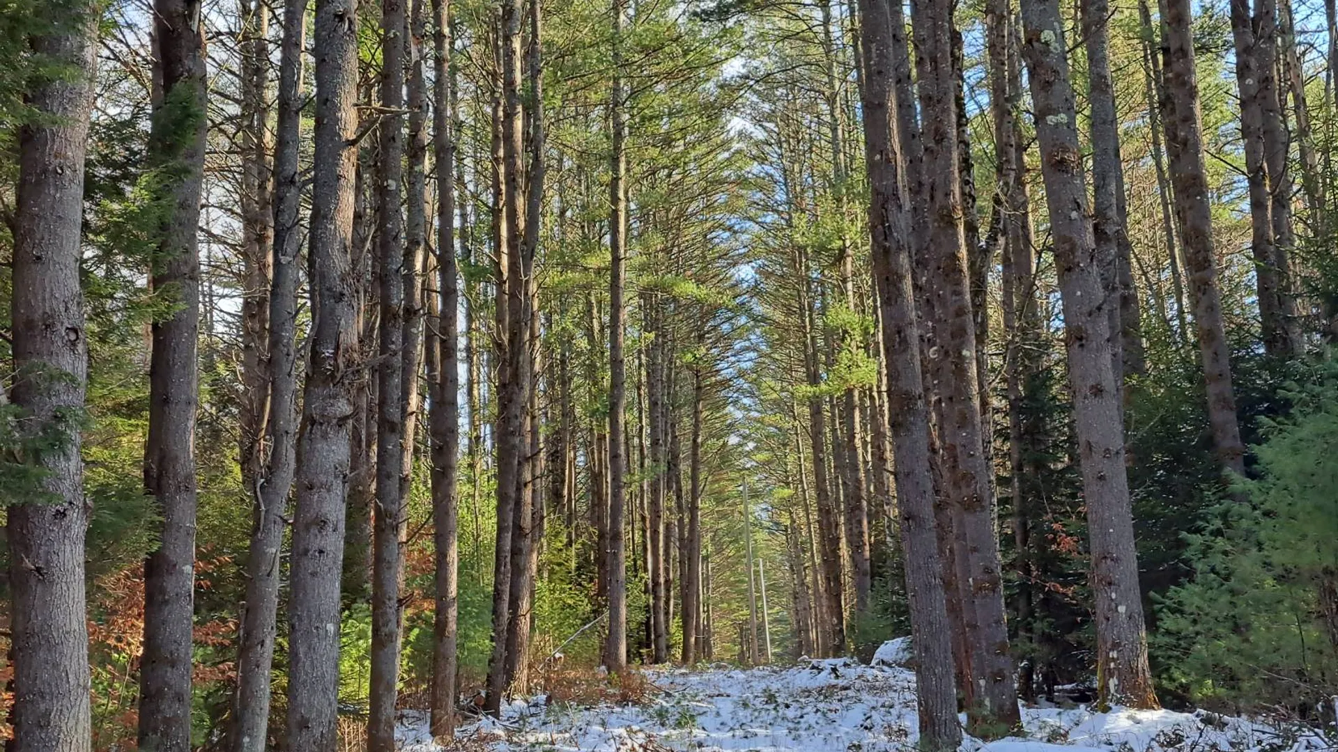 Property at L 17 Rice Road, Hope, NY 12134 26