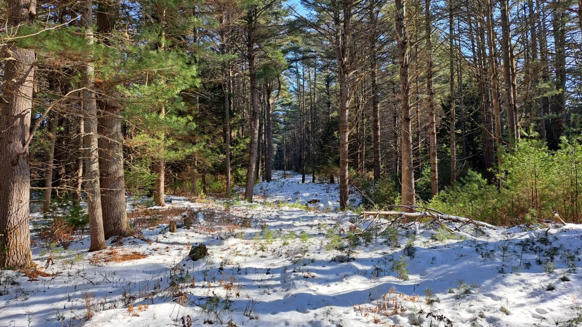 Property at L 17 Rice Road, Hope, NY 12134 27