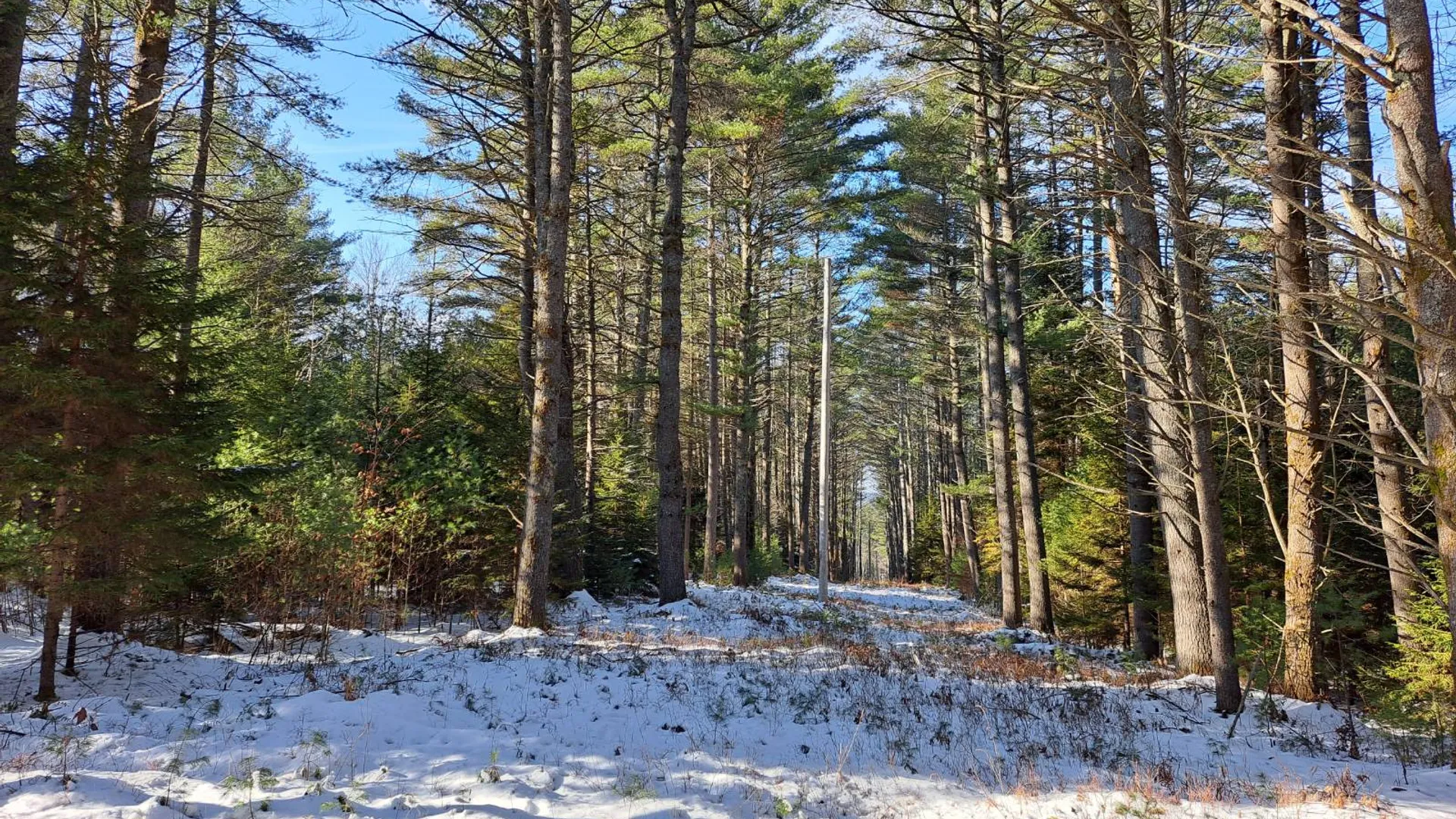 Property at L 17 Rice Road, Hope, NY 12134 28