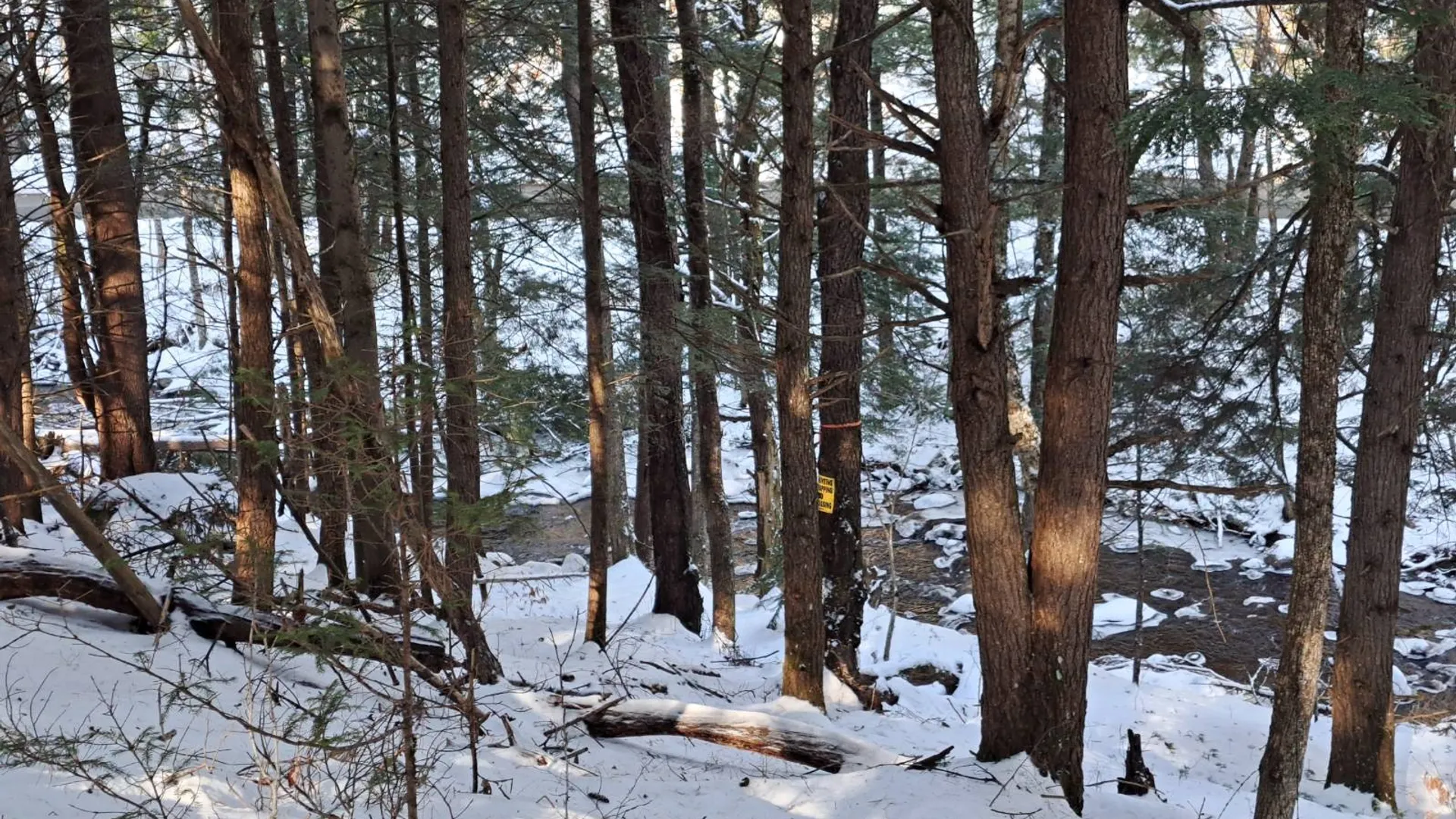 Property at L 17 Rice Road, Hope, NY 12134 3