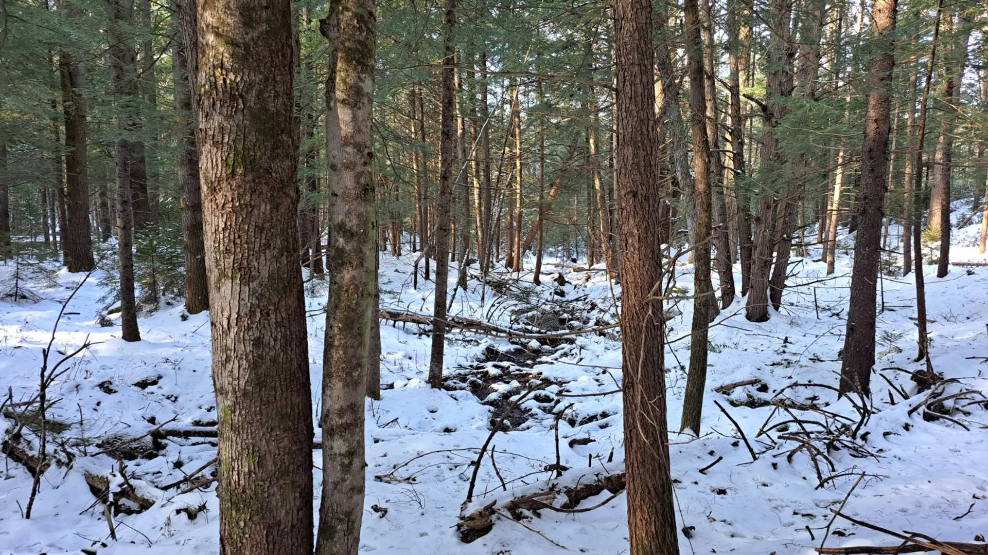 Property at L 17 Rice Road, Hope, NY 12134 30