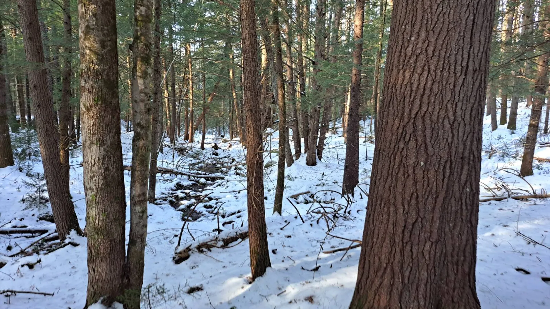 Property at L 17 Rice Road, Hope, NY 12134 31