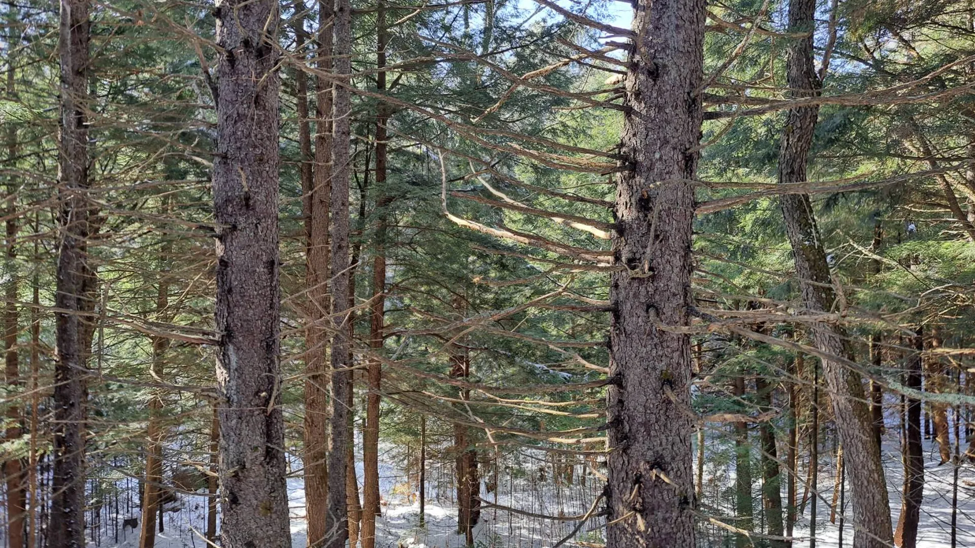 Property at L 17 Rice Road, Hope, NY 12134 33